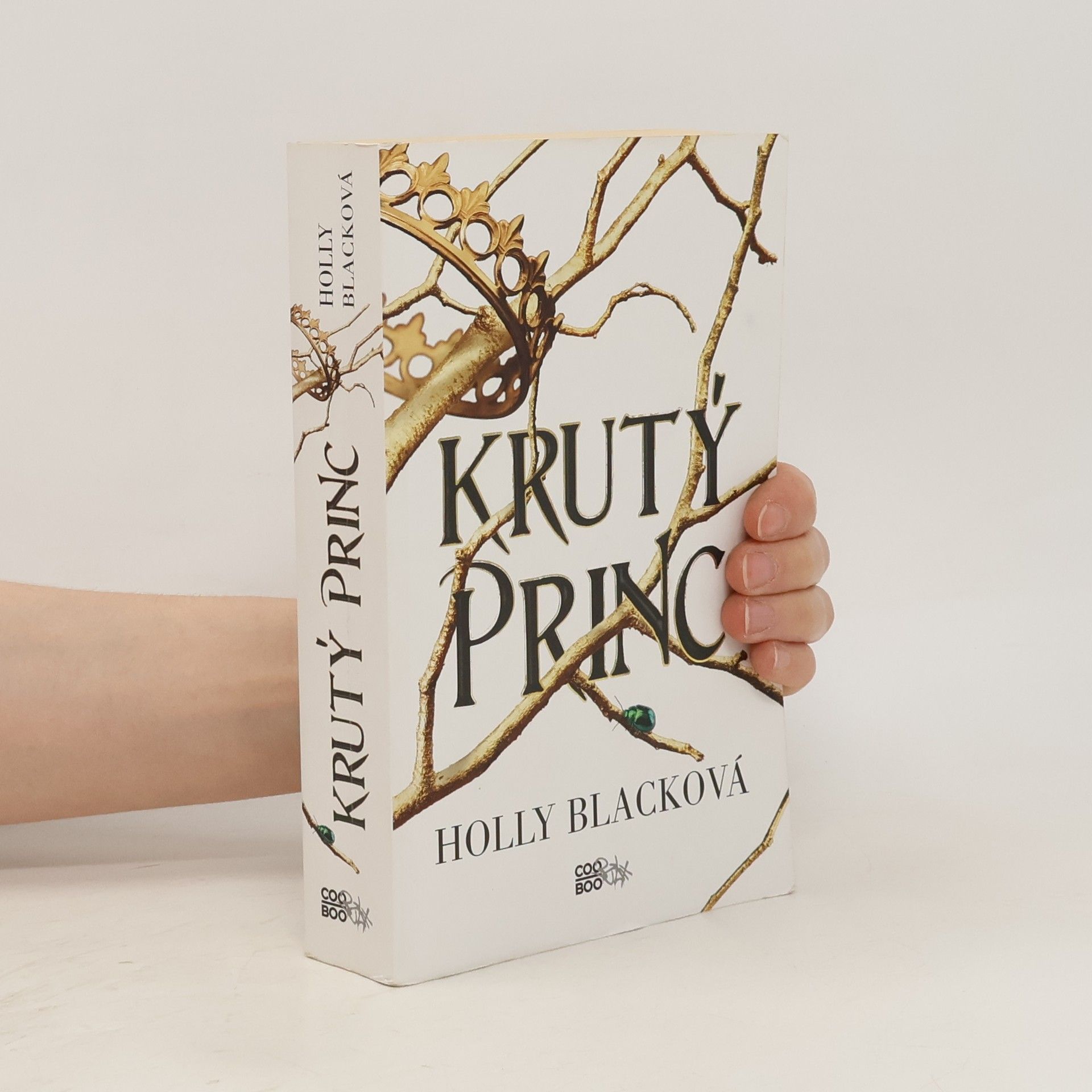 Holly Black Krutý princ