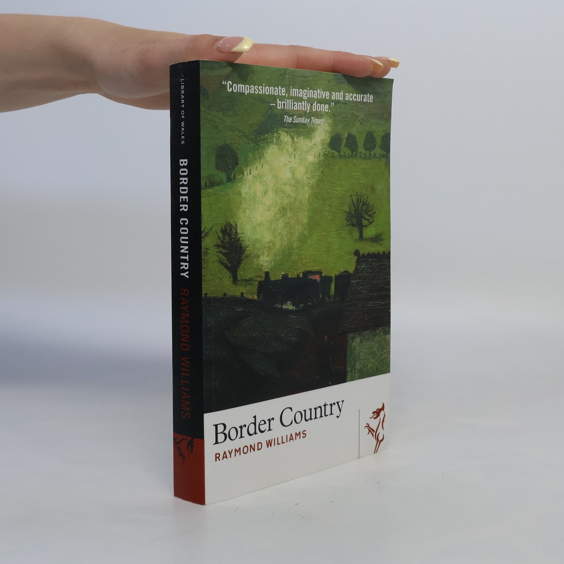 Raymond Williams Border Country