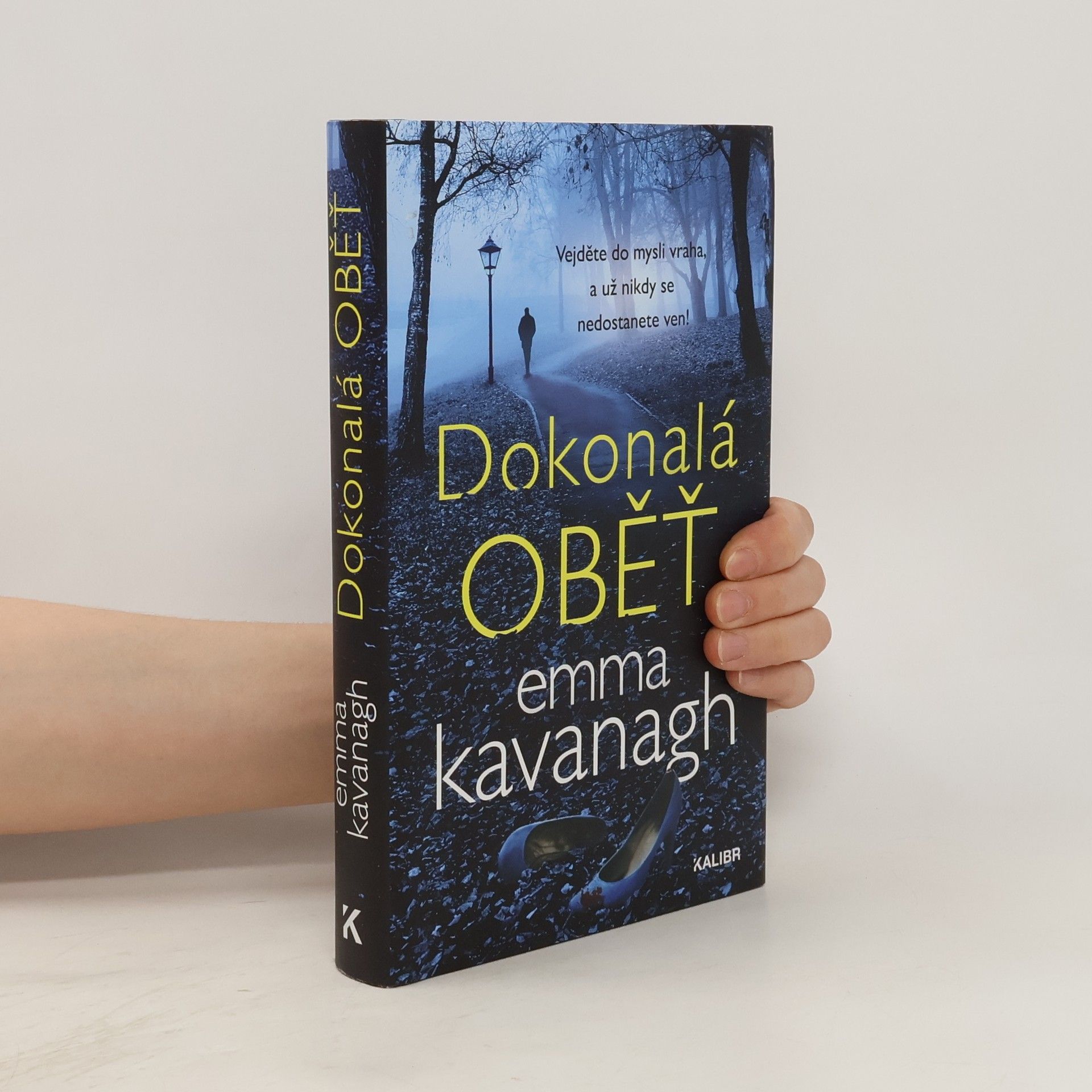 Emma Kavanagh Dokonalá oběť