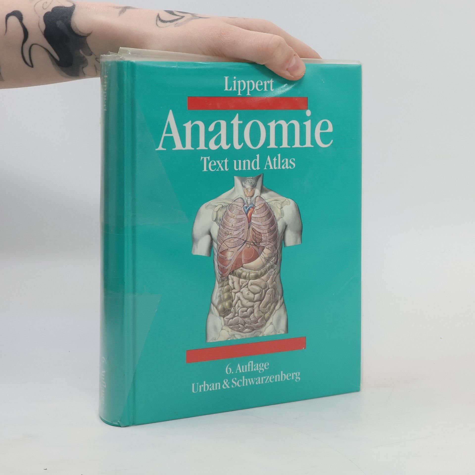 Herbert Lippert Anatomie