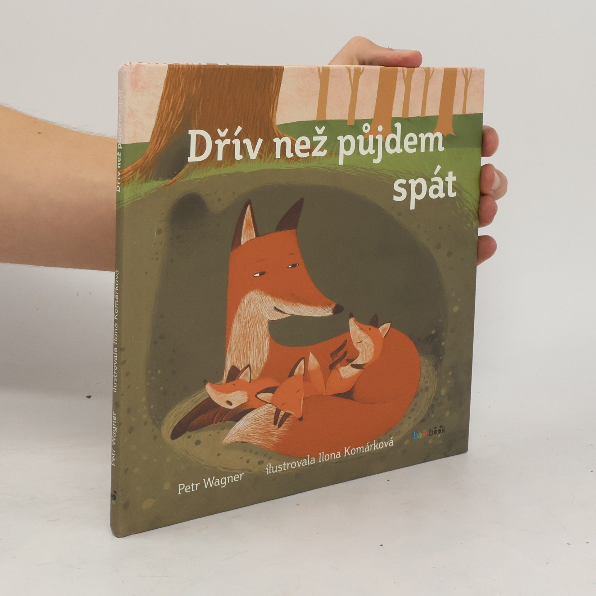 Petr Wagner Dřív než půjdem spát