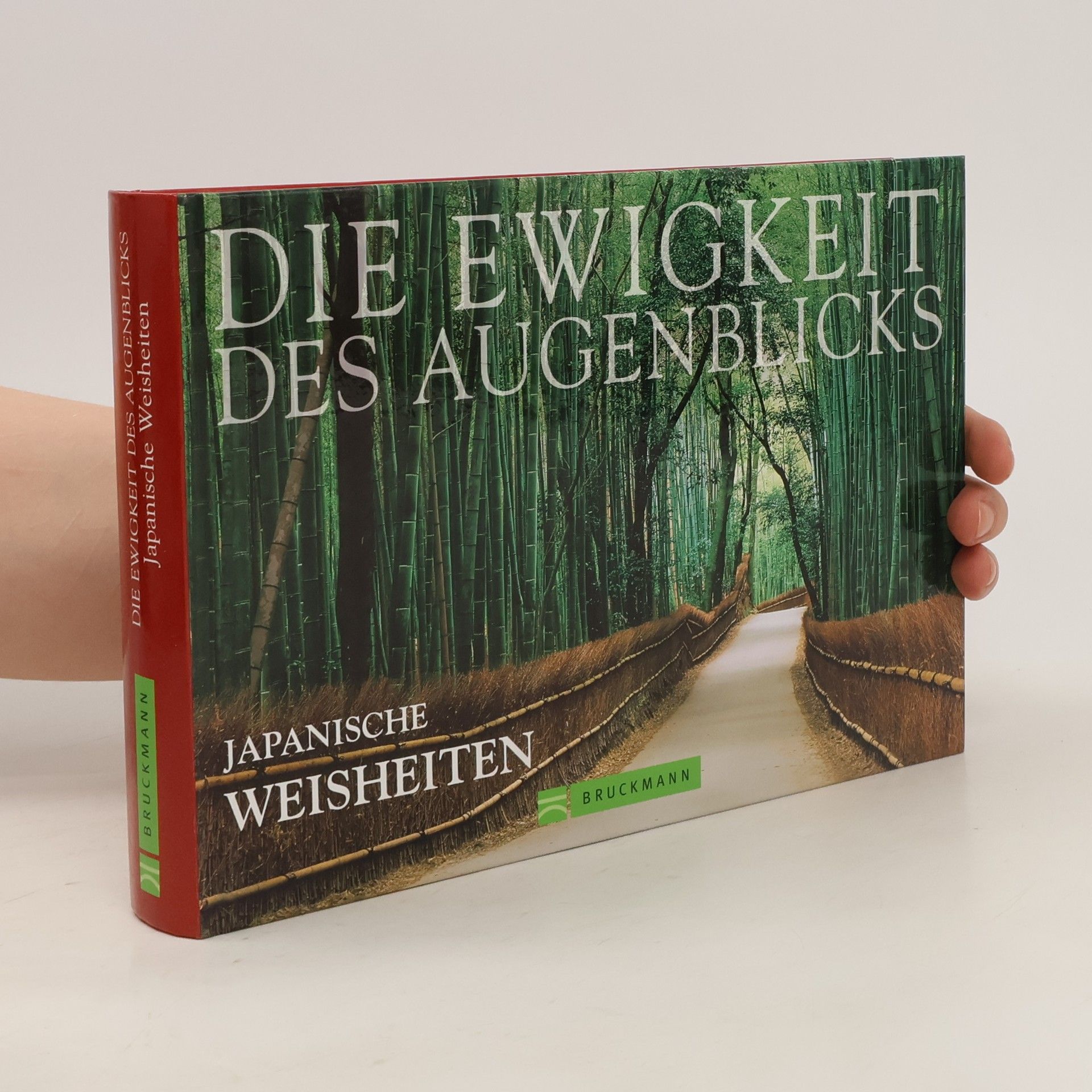 Rüdiger Dingemann Die Ewigkeit des Augenblicks