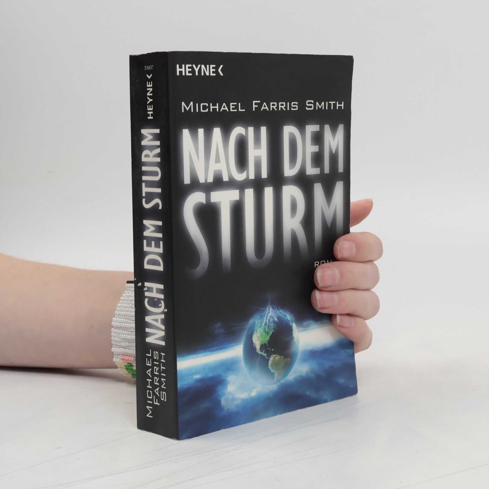 Michael Farris Smith Nach dem Sturm. Roman