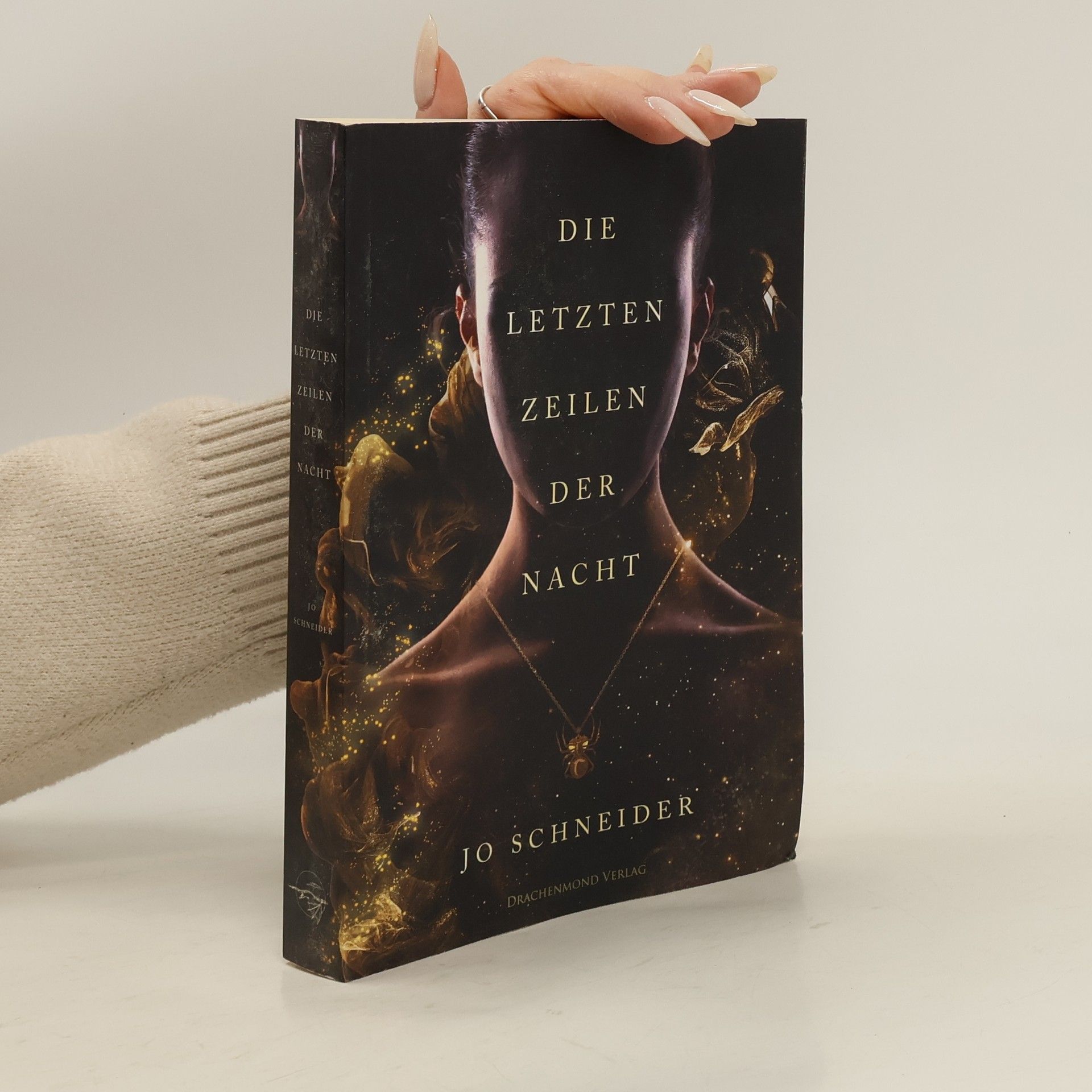Jo Schneider Die letzten Zeilen der Nacht