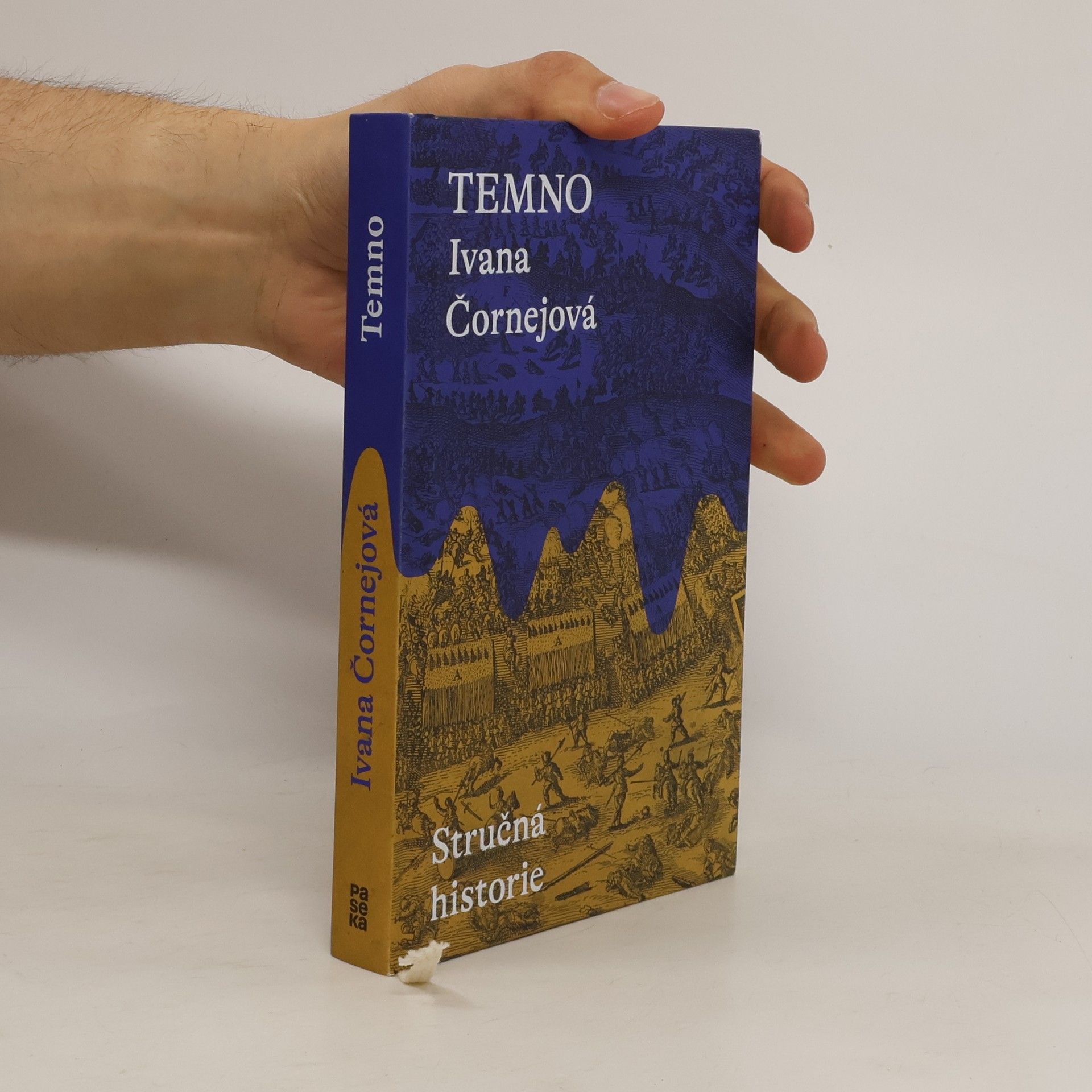 Ivana Čornejová Temno. Stručná historie
