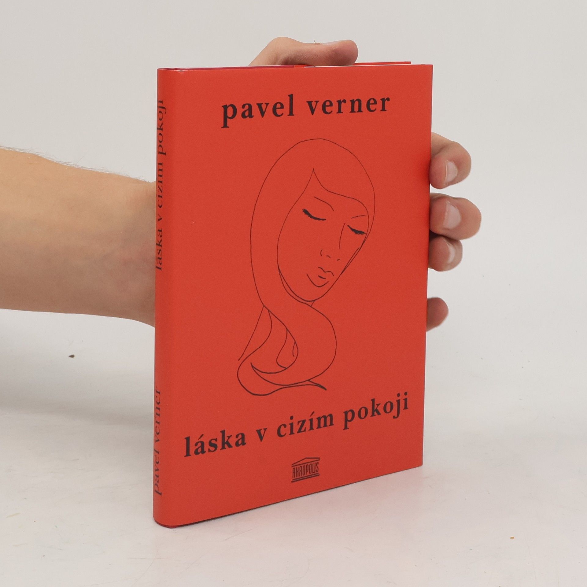 Pavel Verner Láska v cizím pokoji