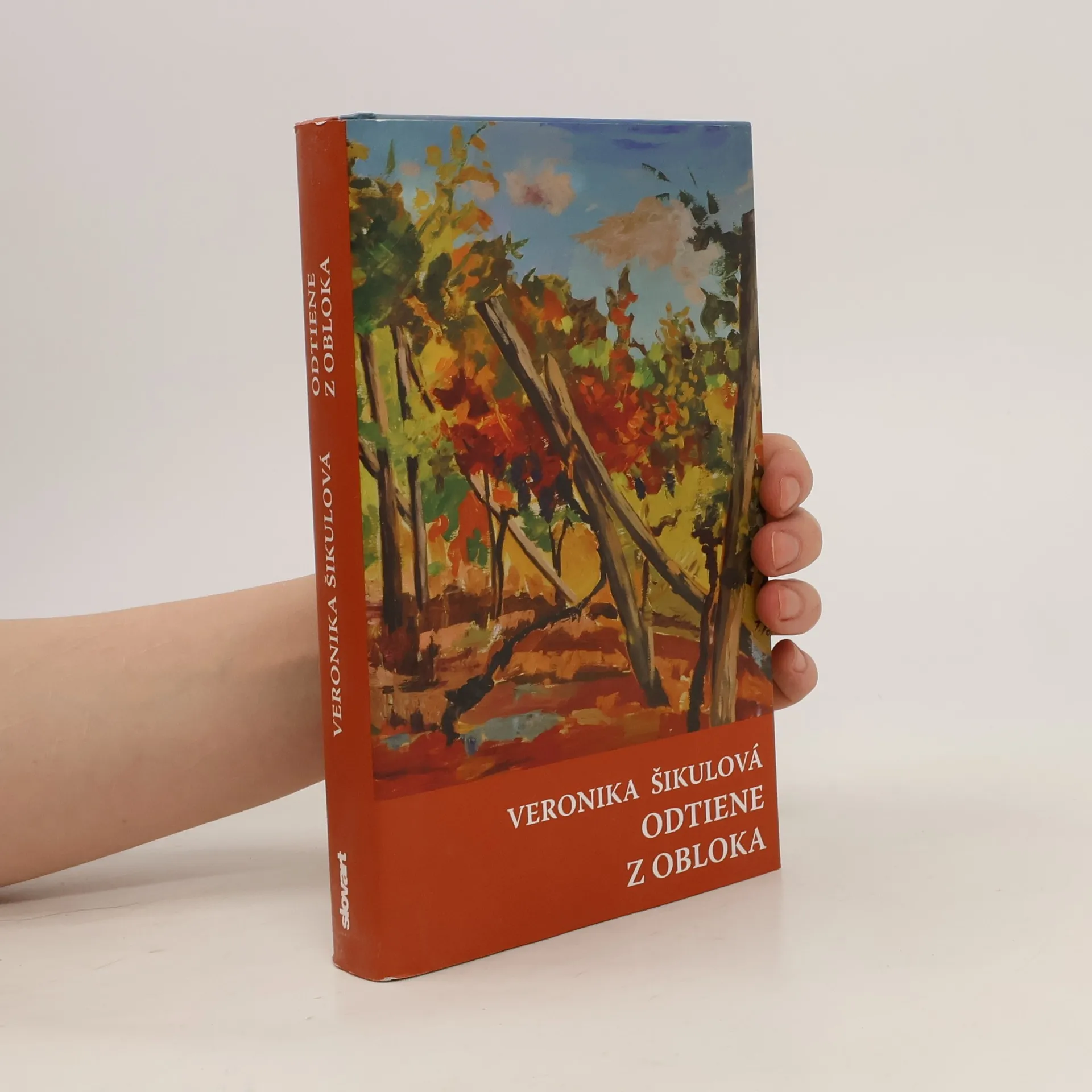 Odtiene / Z obloka | Livre | rigide | Šikulová Veronika | SK