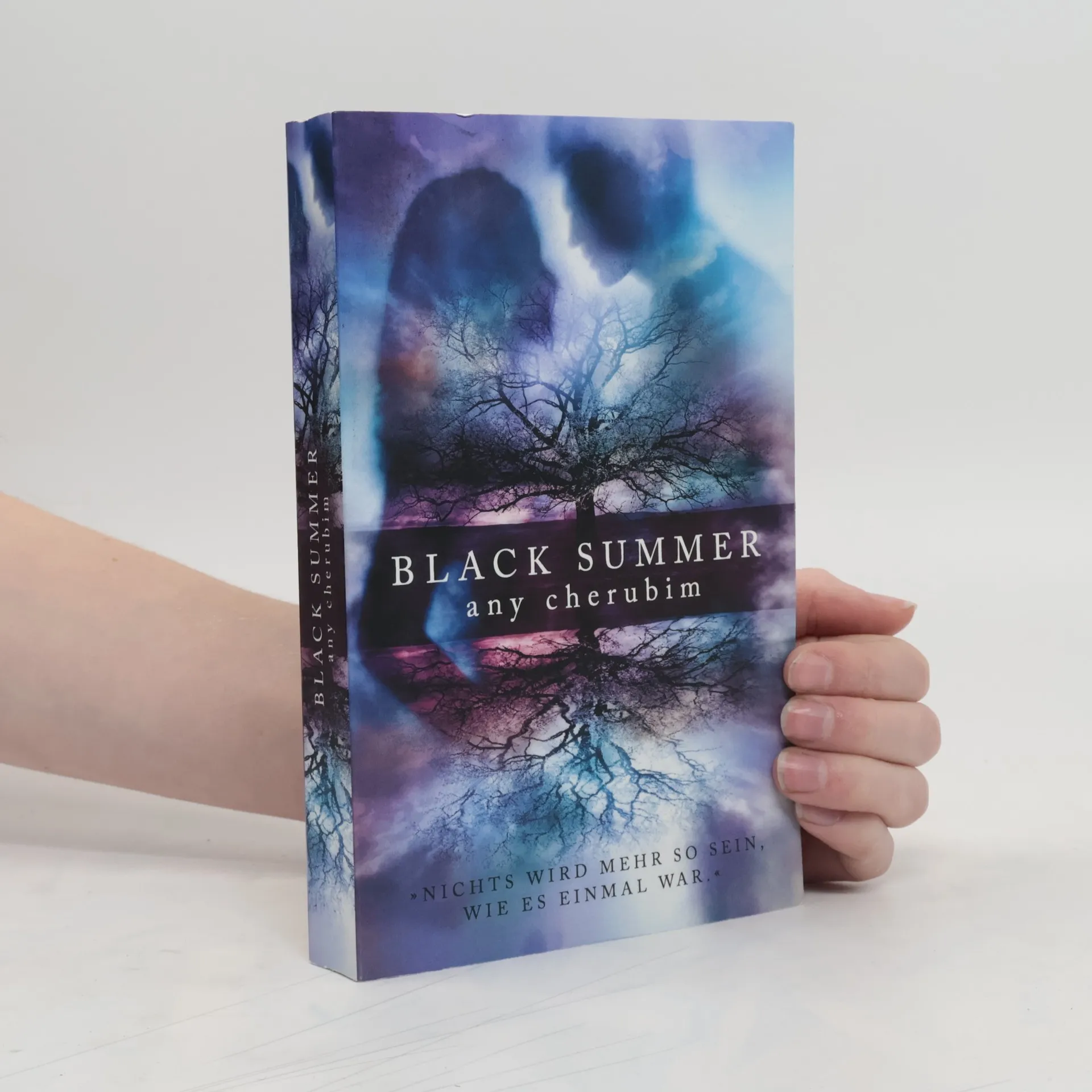 Black Summer 1 | Book | Any Cherubim | DE