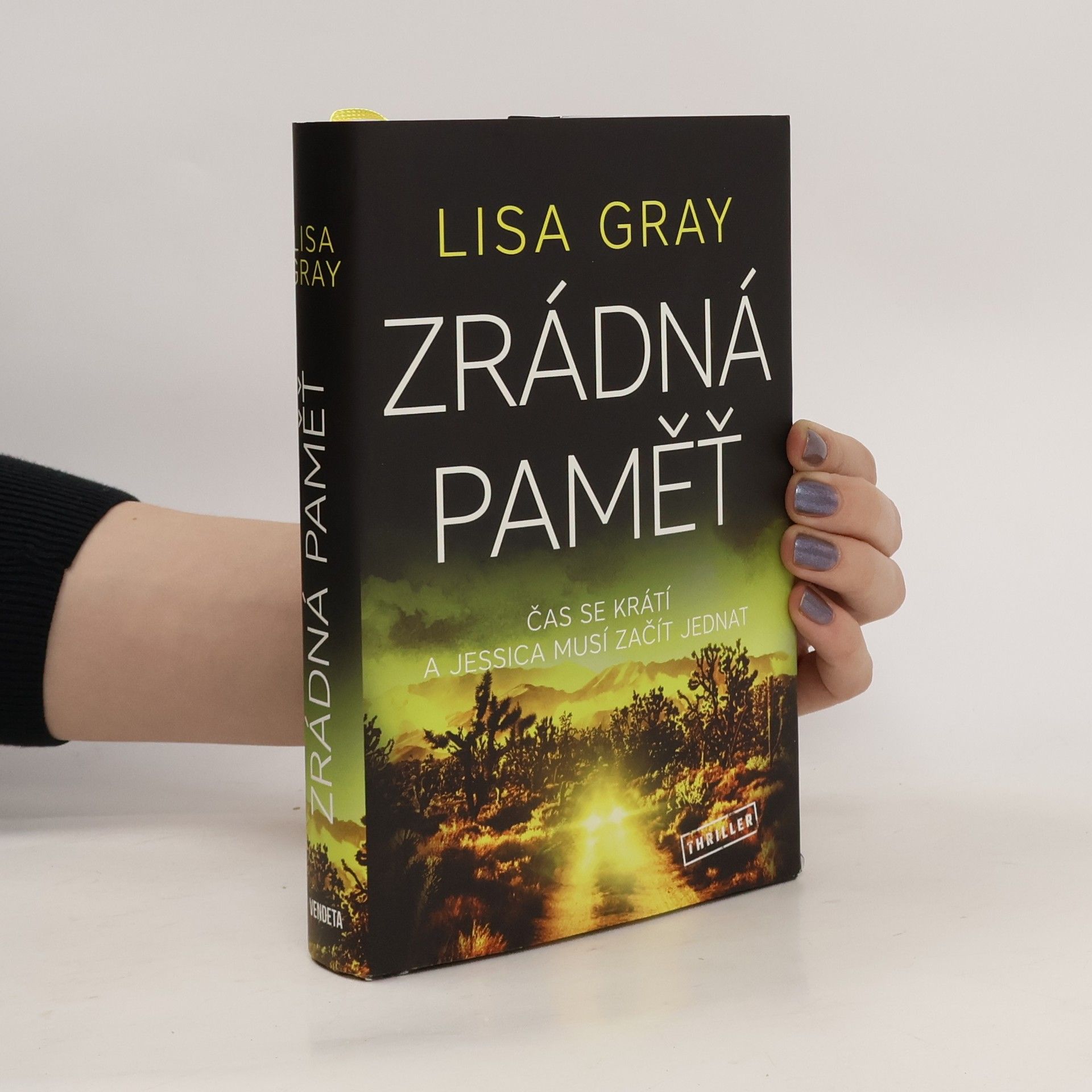 Lisa Gray Zrádná paměť