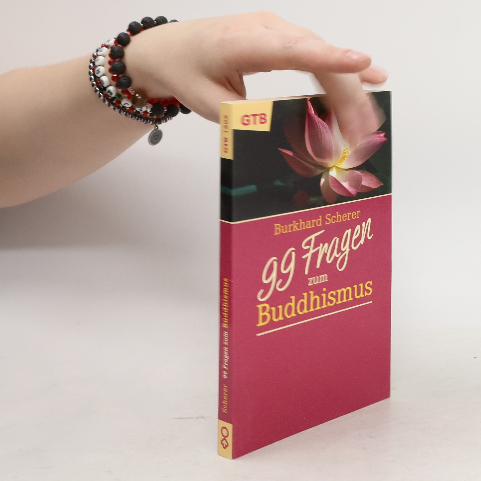 Burkhard Scherer 99 Fragen zum Buddhismus