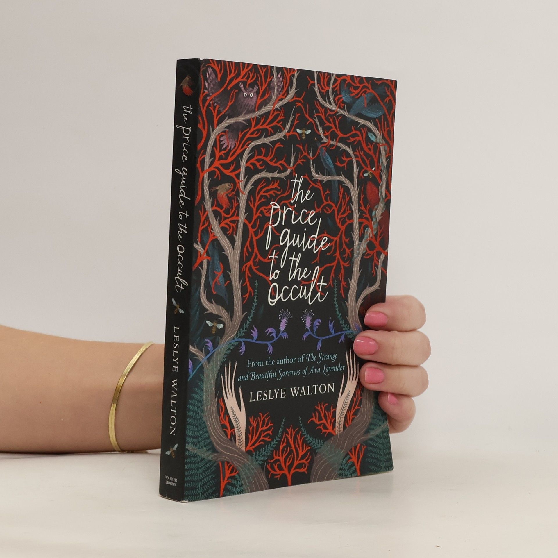 Leslye Walton The price guide to the occult