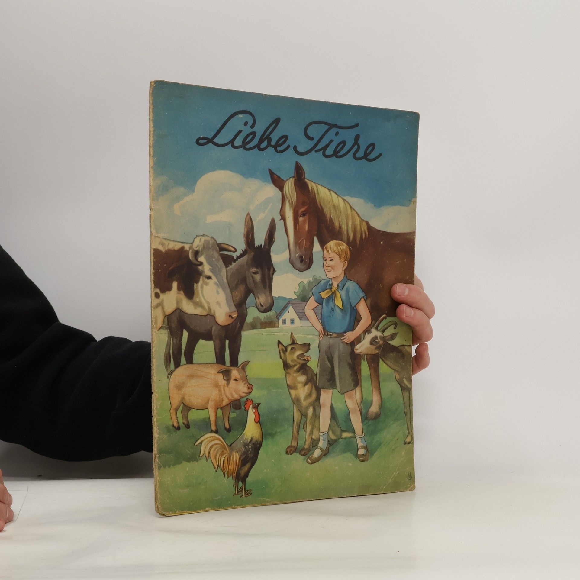 kolektiv Liebe Tiere