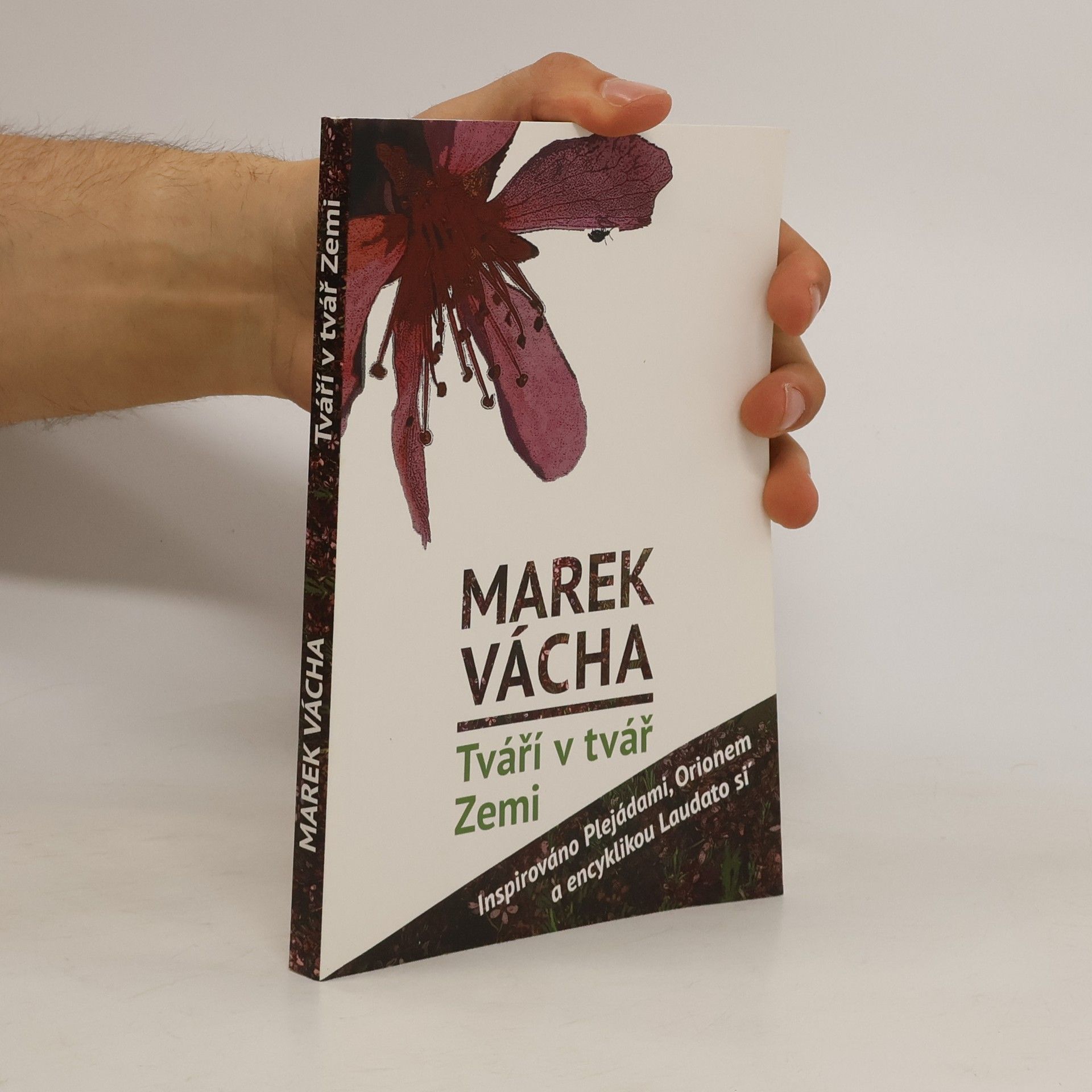 Marek Vácha Tváří v tvář Zemi