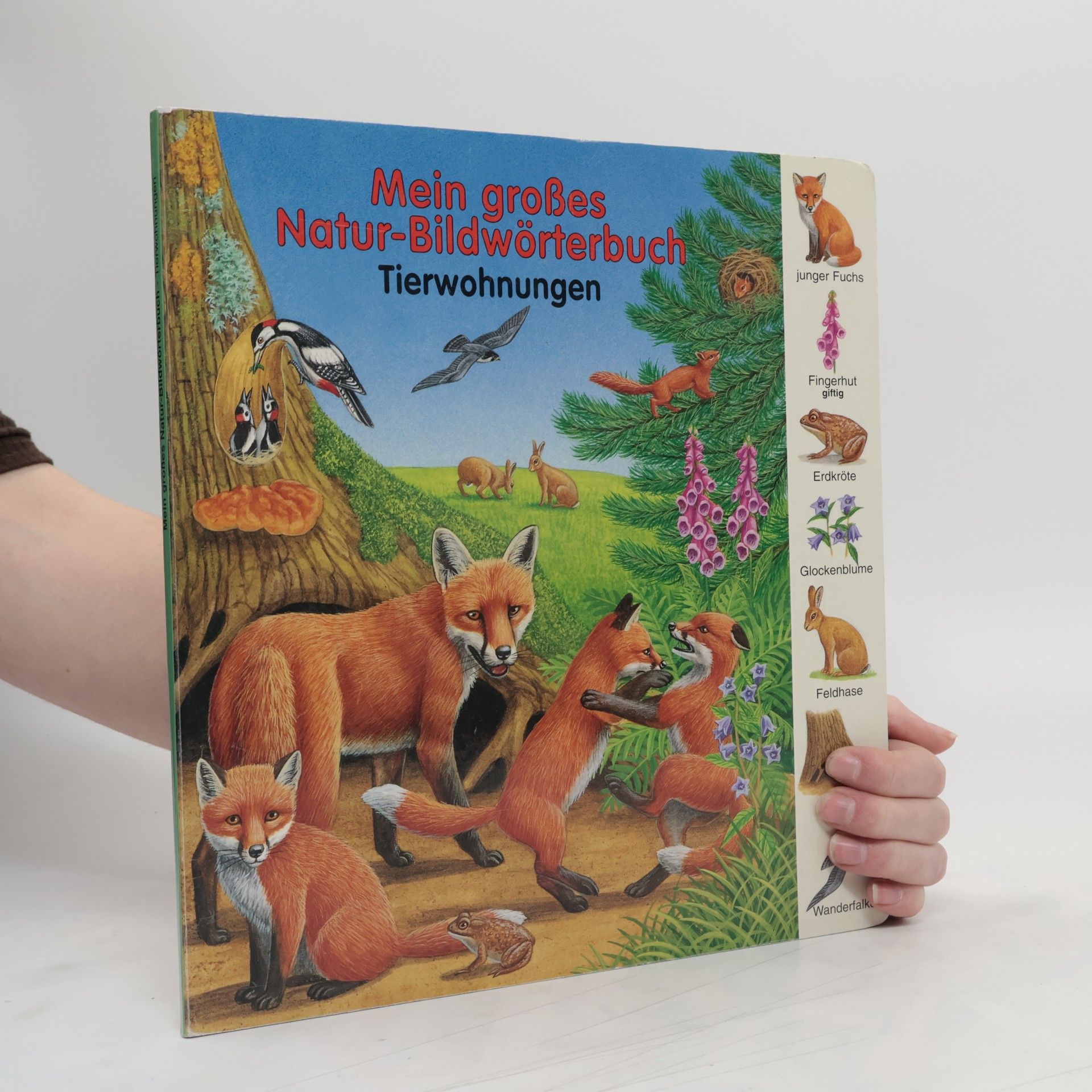 Collectif d'auteurs Mein grosses Natur-Bildwörterbuch. Tierwohnungen