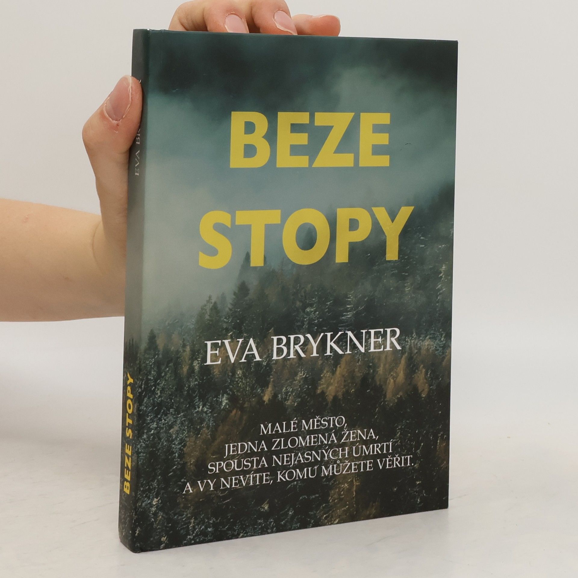 Eva Brykner Beze stopy