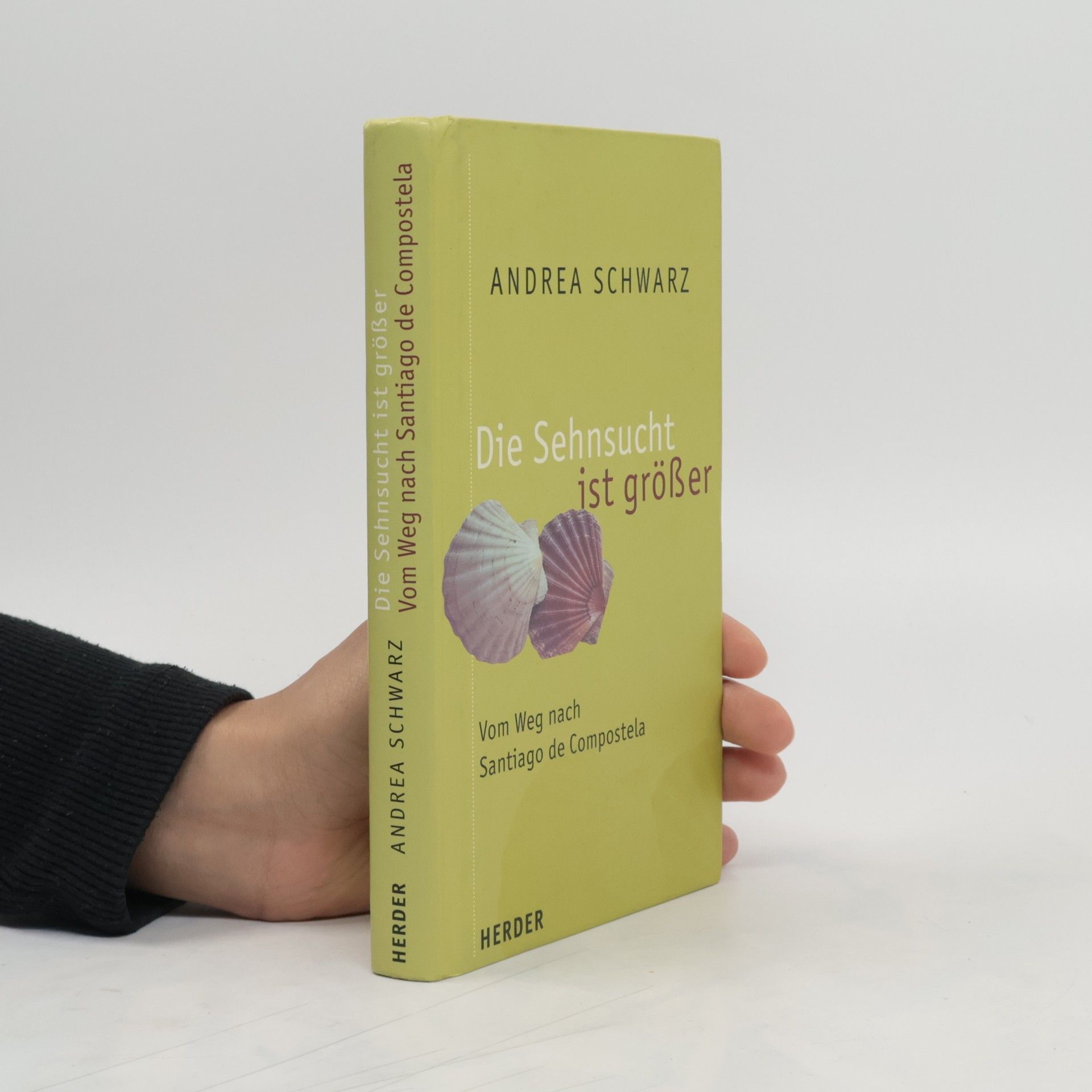 Andrea Schwarz Die Sehnsucht ist größer