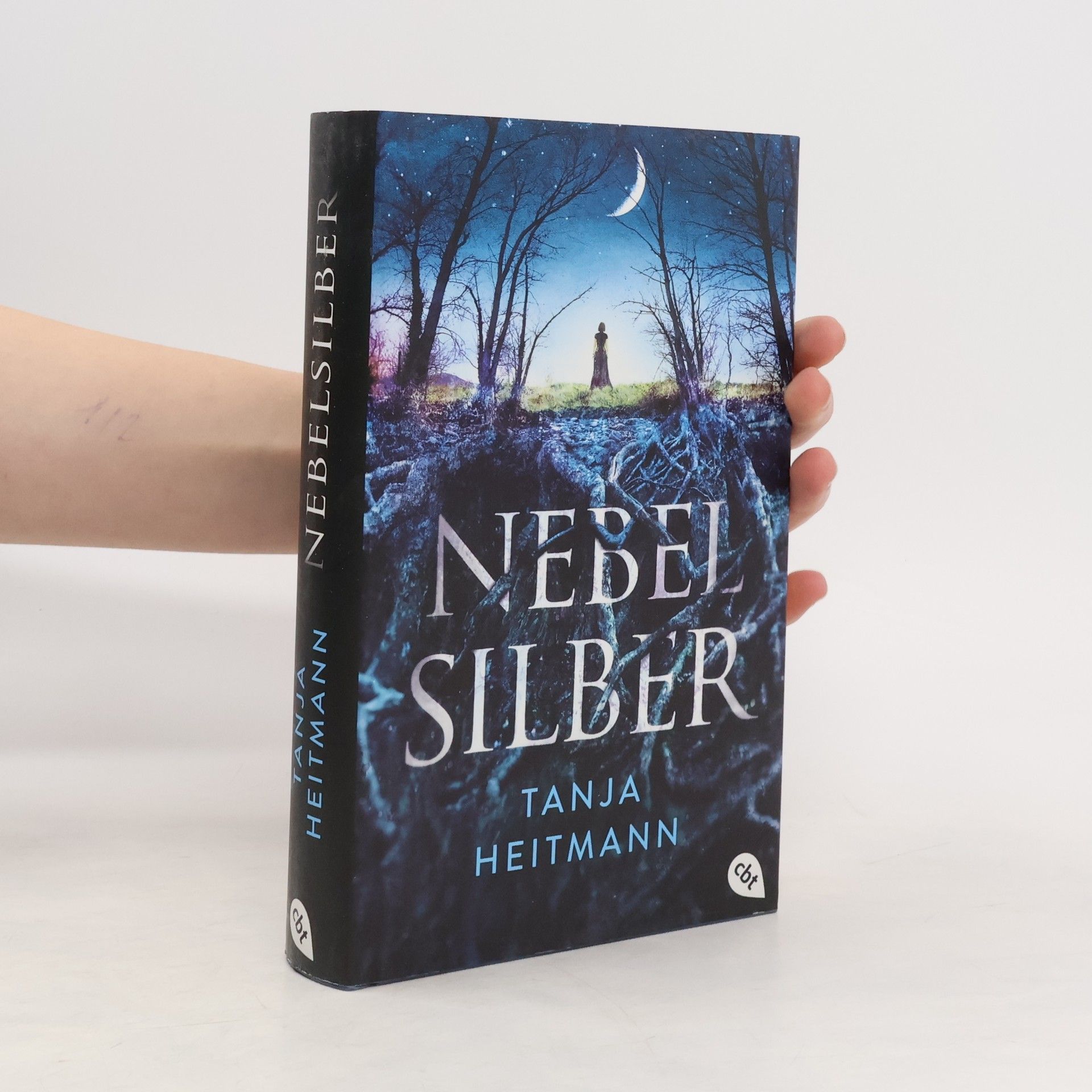 Tanja Heitmann Nebelsilber