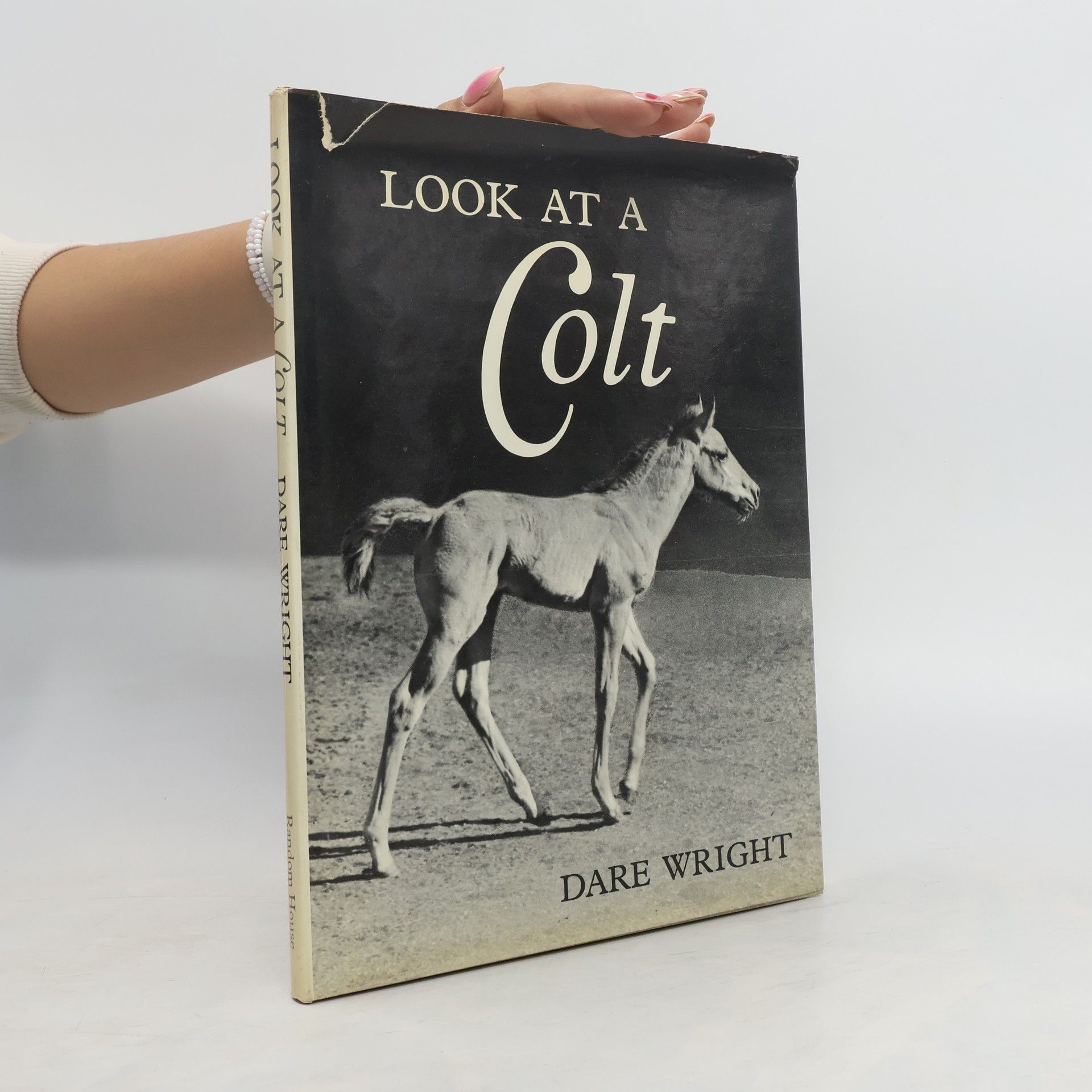 Dare Wright Look at a Colt