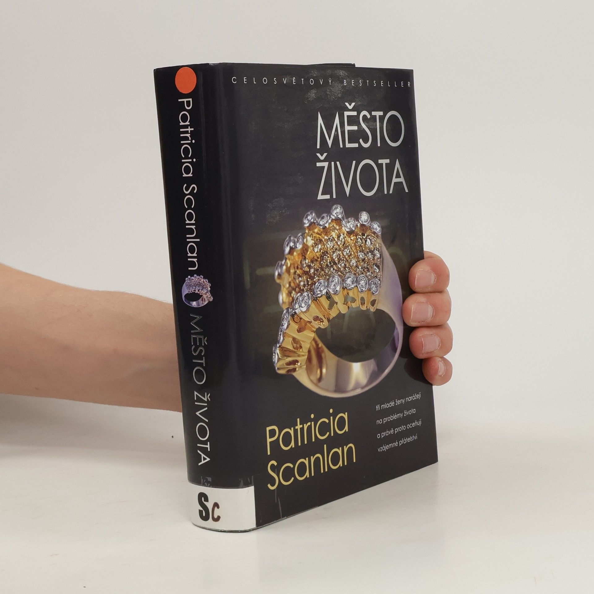 Patricia Scanlan Město života