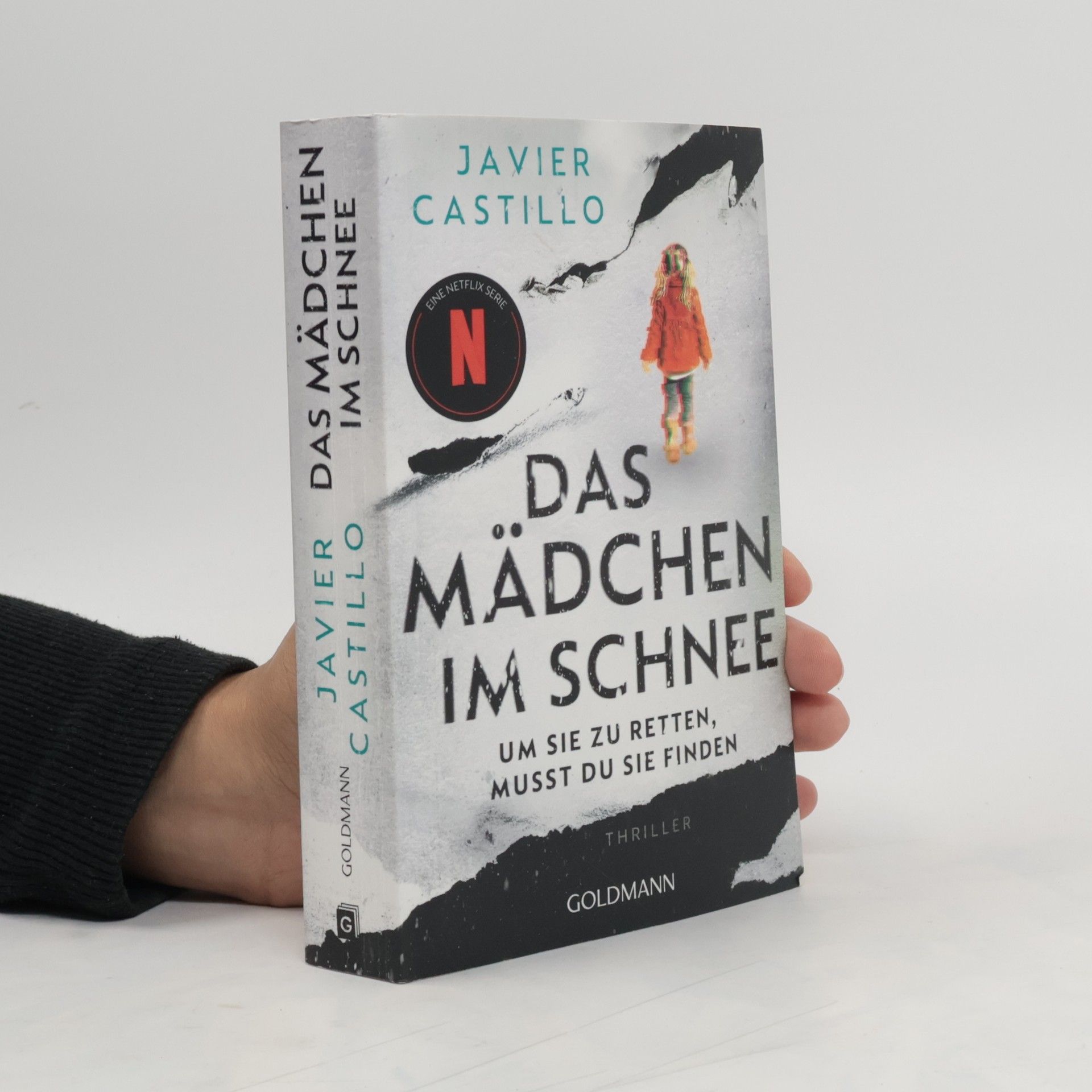 Javier Castillo Das Mädchen im Schnee - Um sie zu retten, musst du sie finden. Thriller - Das Buch zur erfolgreichen Netflix-Serie