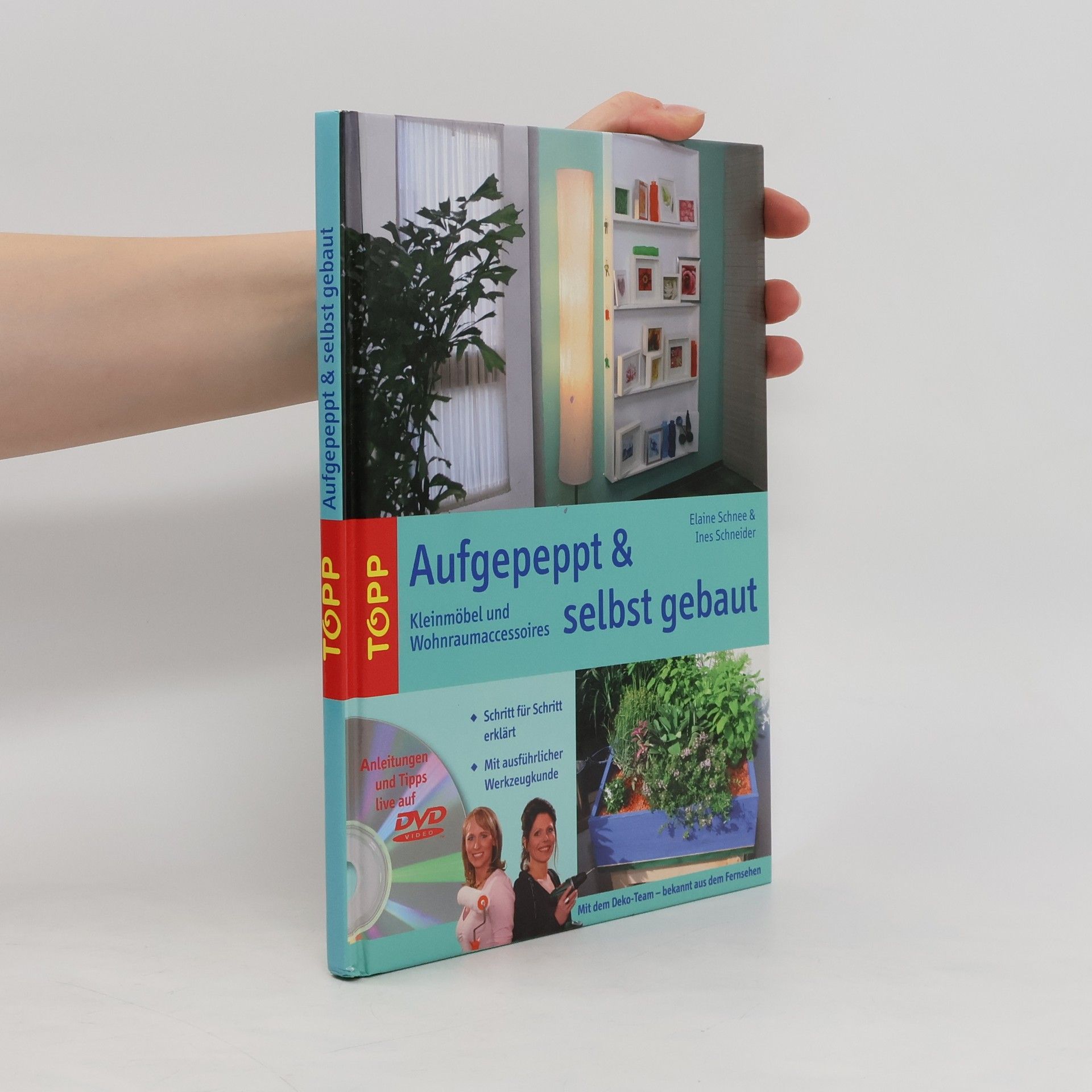 Elaine Schnee Aufgepeppt & selbst gebaut