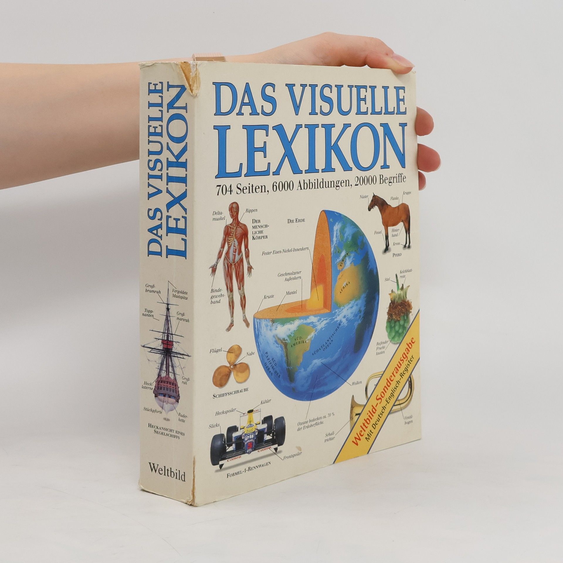 Margot Wilhelmi Das visuelle Lexikon