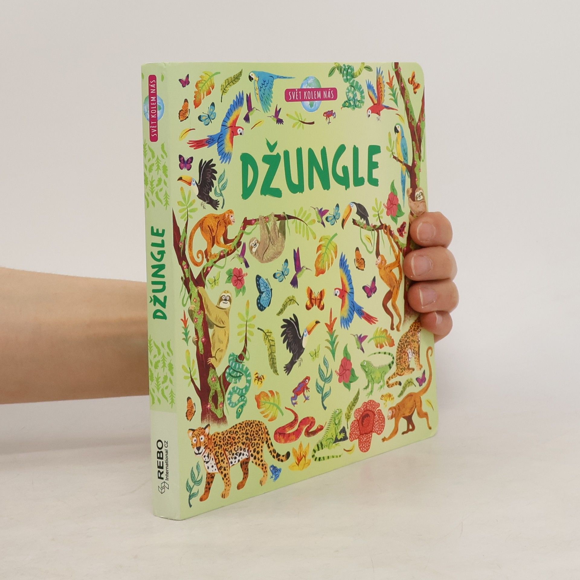 kolektiv Džungle