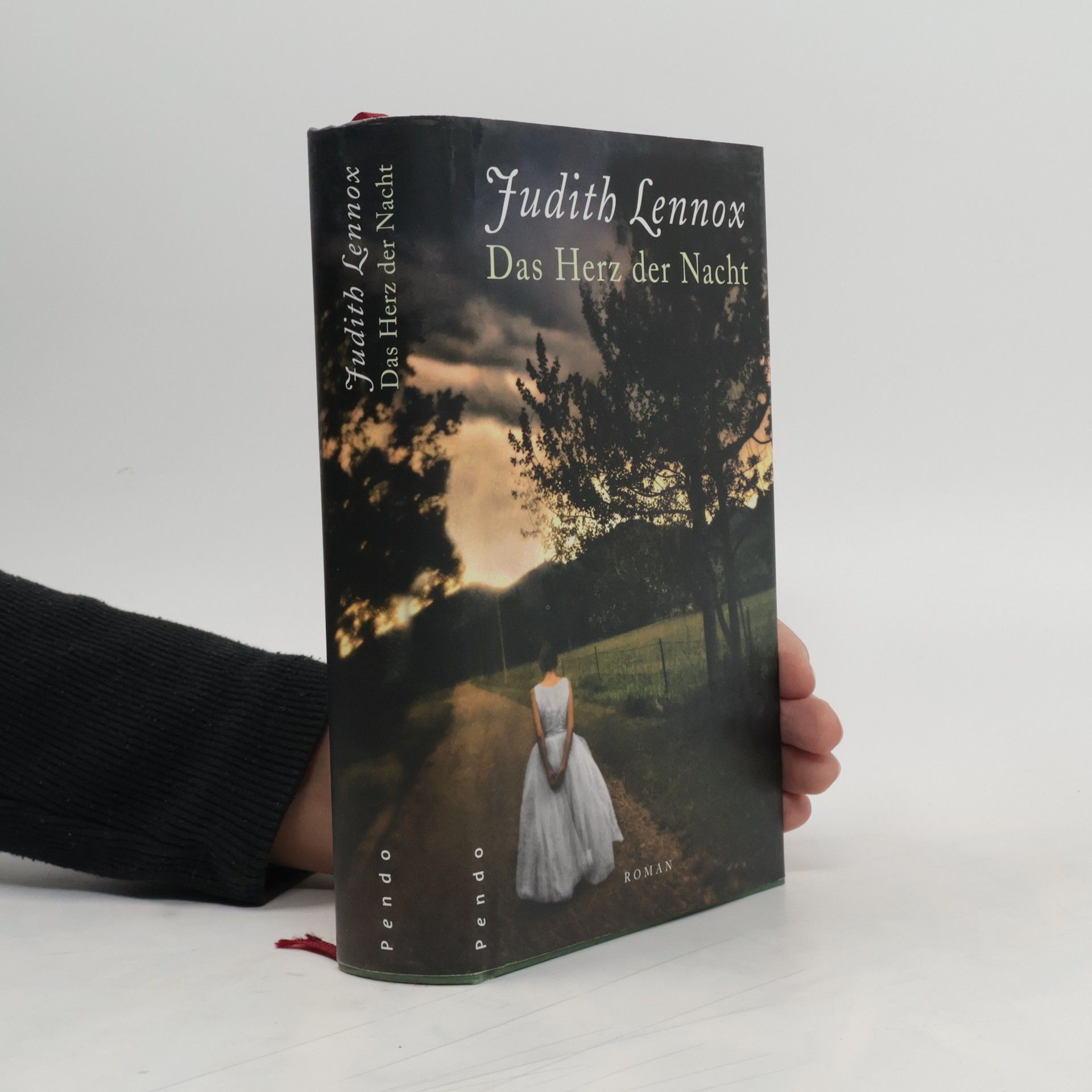 Judith Lennox Das Herz der Nacht