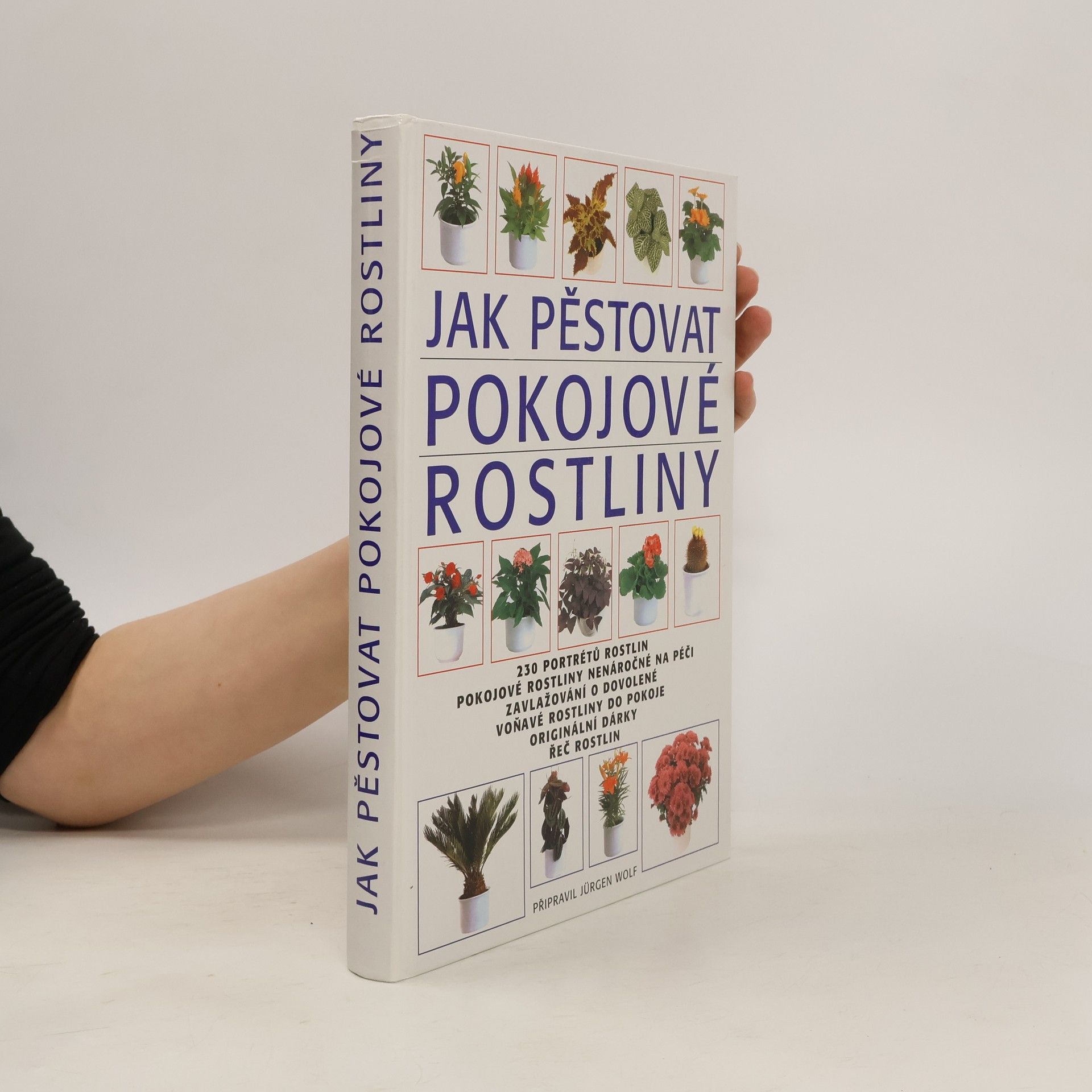 Jürgen Wolff Jak pěstovat pokojové rostliny