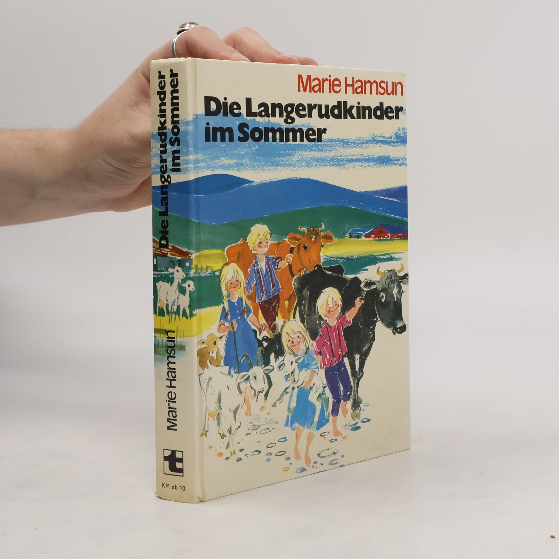 Marie Hamsun Die Langerudkinder im Sommer