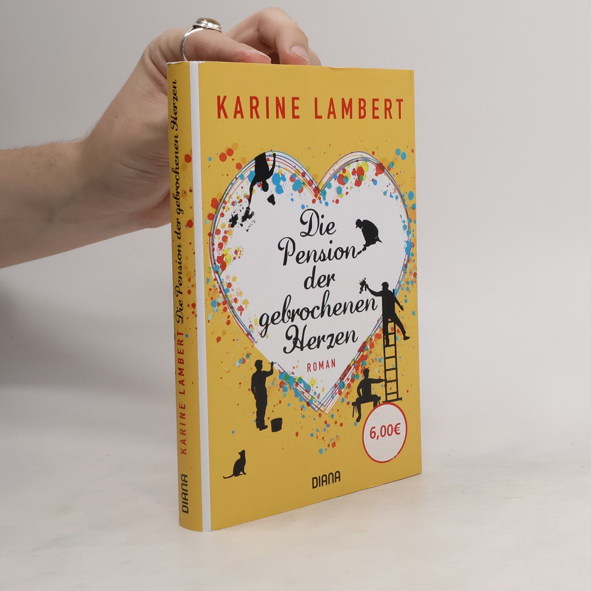 Karine Lambert Die Pension der gebrochenen Herzen