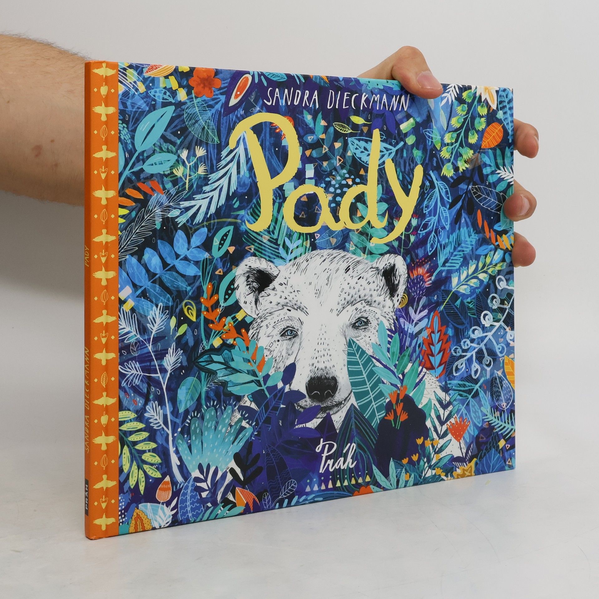 Sandra Dieckmann Pady