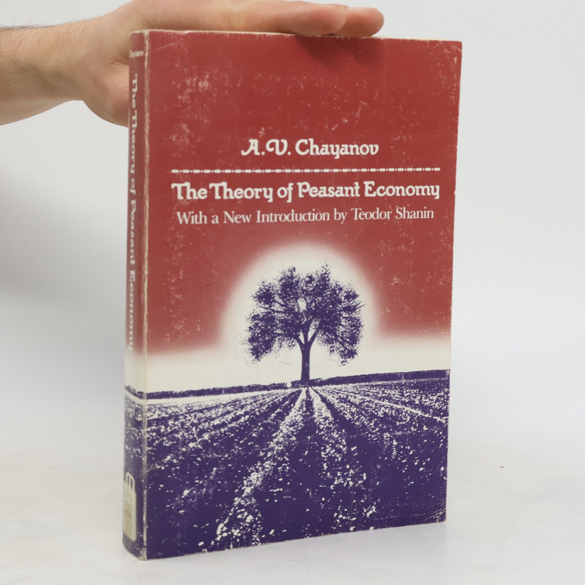 Aleksandr Vasilʹevich Chai︠a︡nov A.V. Chayanov on the Theory of Peasant Economy