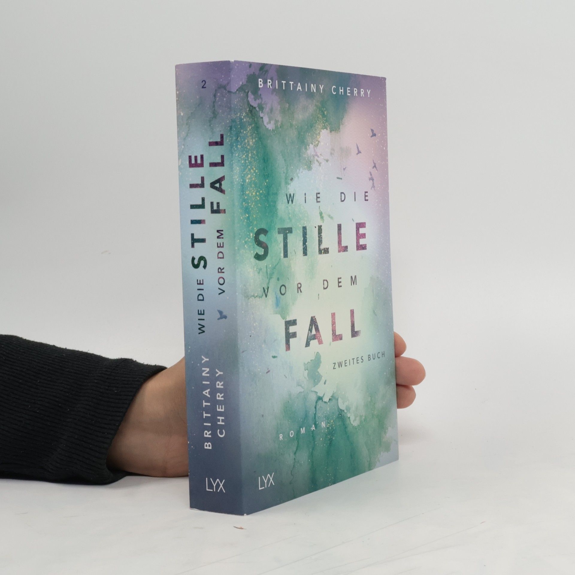 Brittainy C. Cherry Wie die Stille vor dem Fall 2