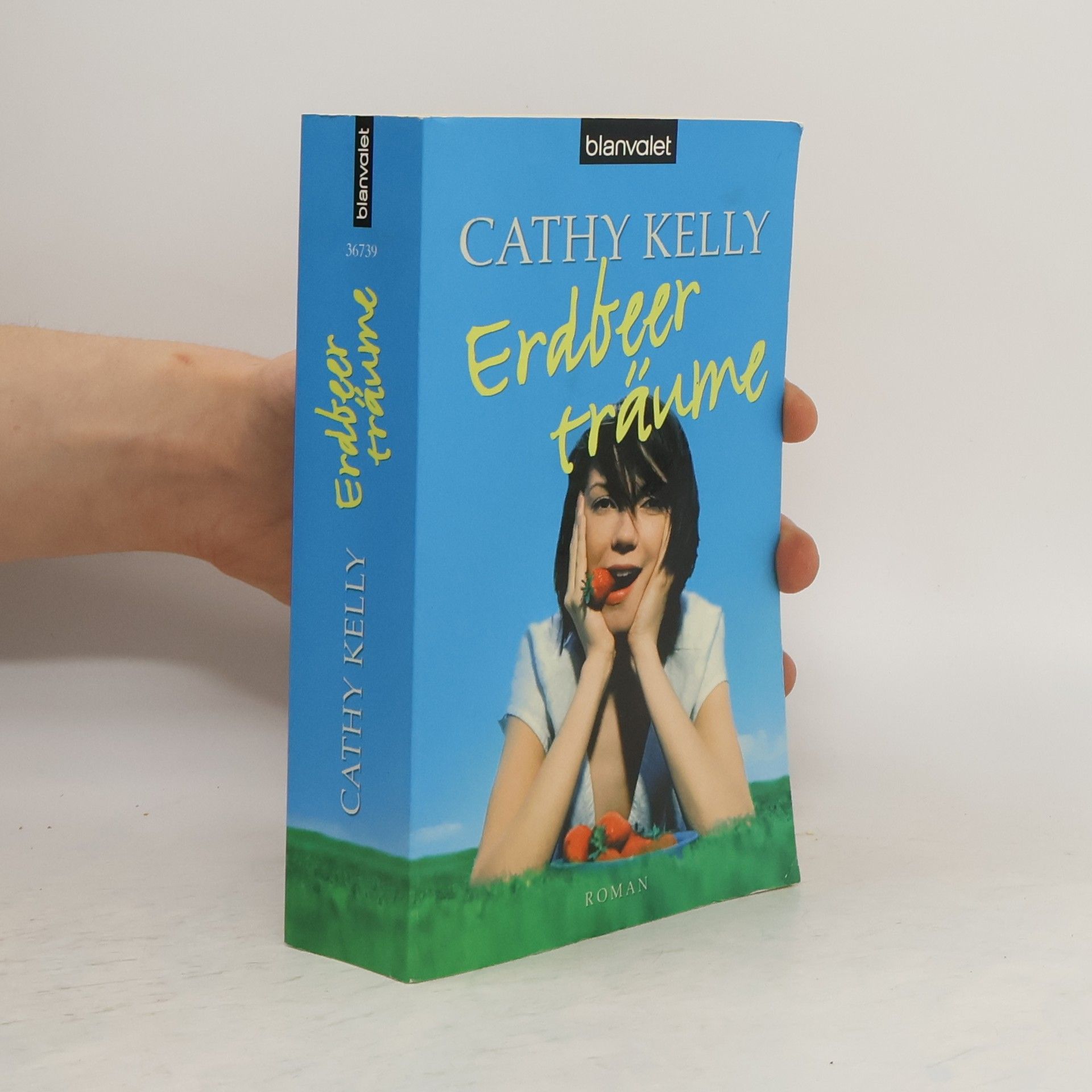 Cathy Kelly Erdbeerträume