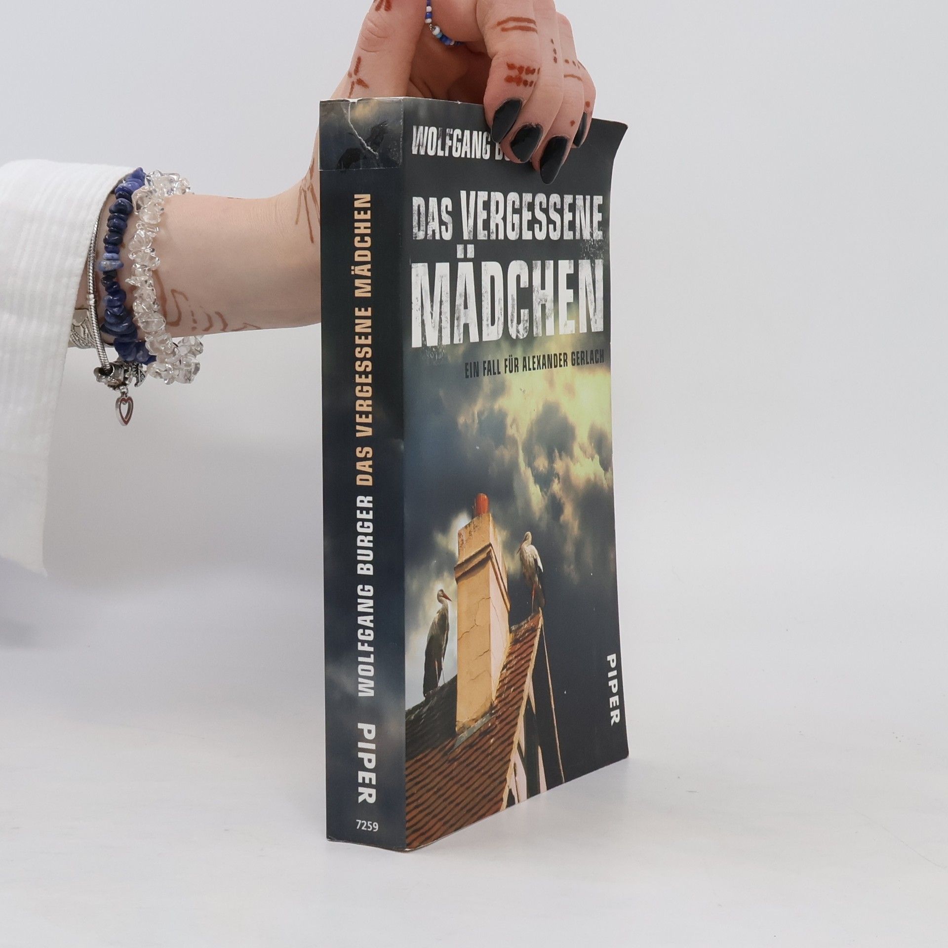 Wolfgang Burger Das vergessene Mädchen
