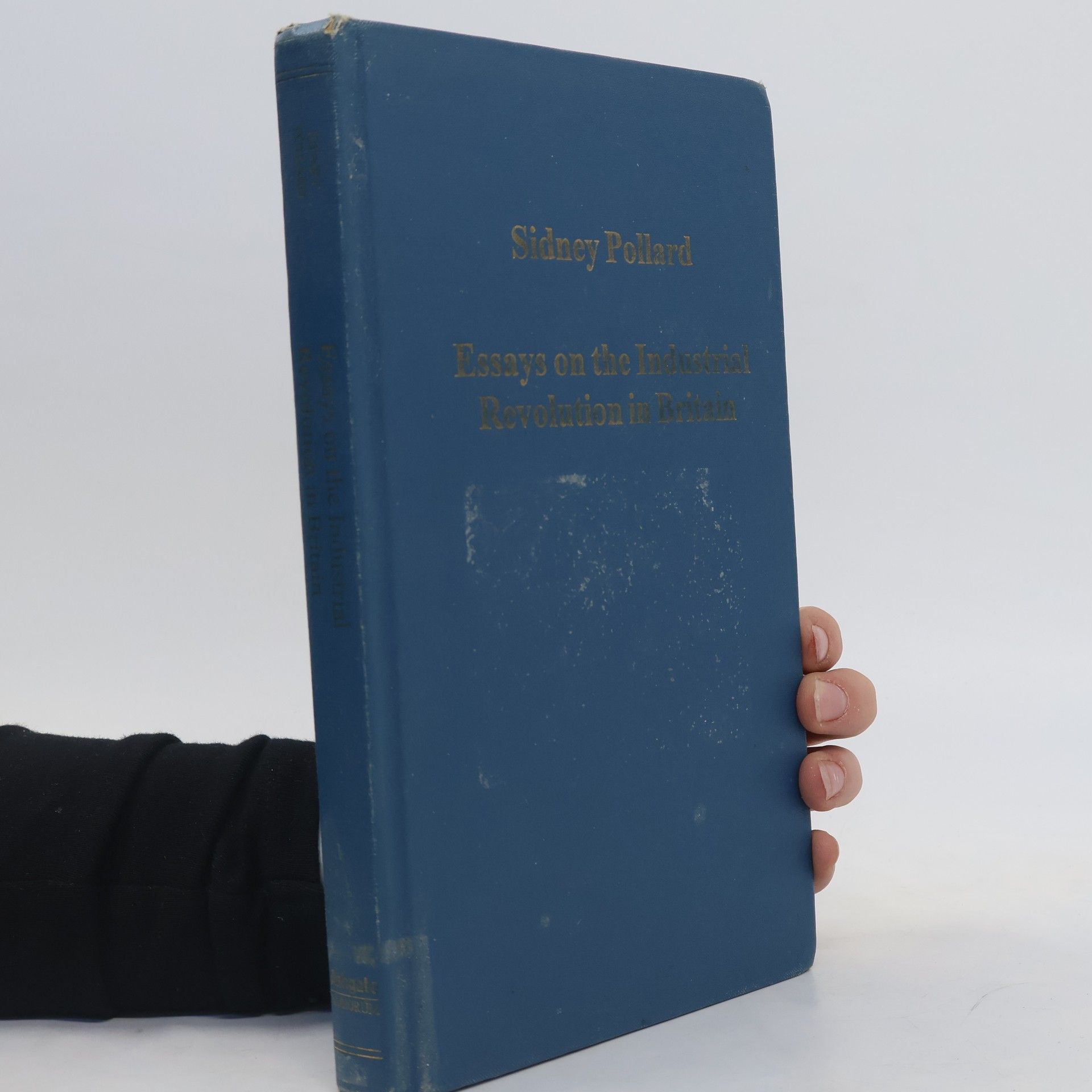 Sidney Pollard Essays on the industrial revolution in Britain