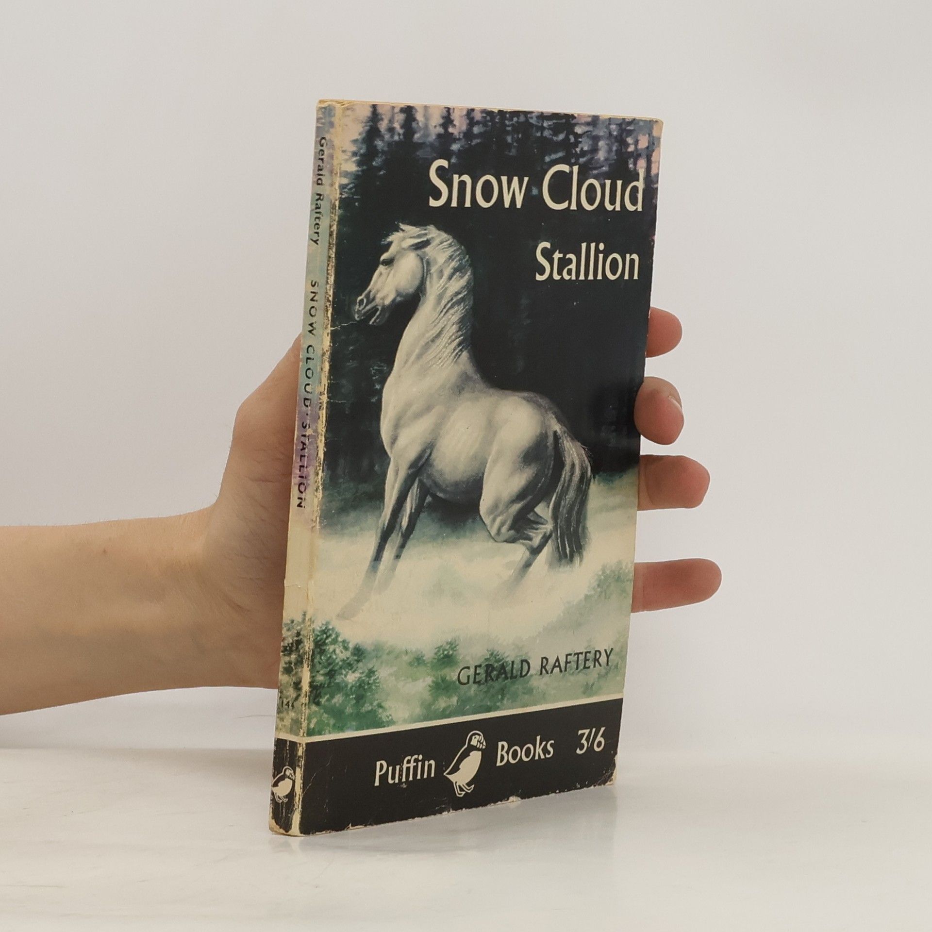 Gerald Raftery Snow Cloud, Stallion