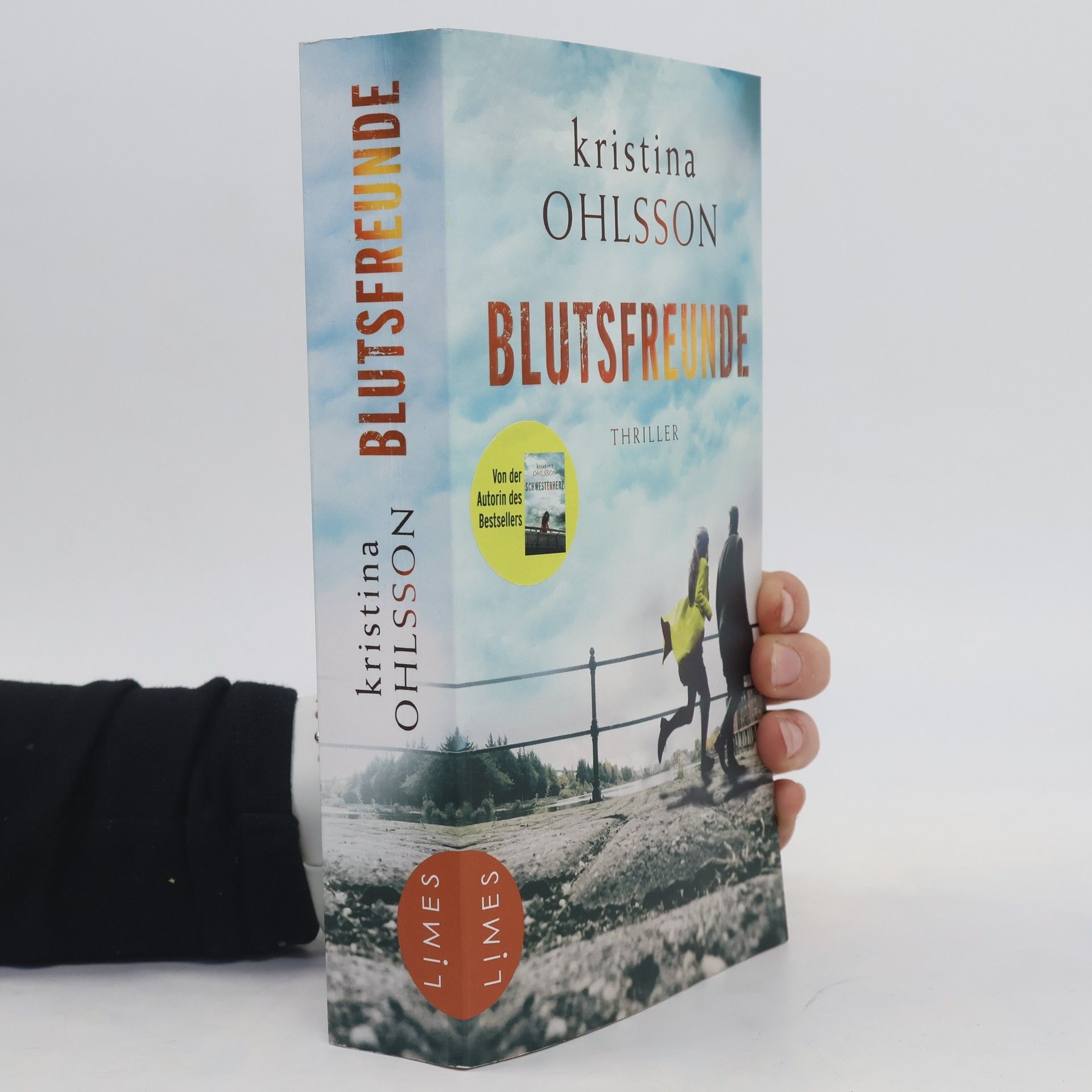 Kristina Ohlsson Blutsfreunde