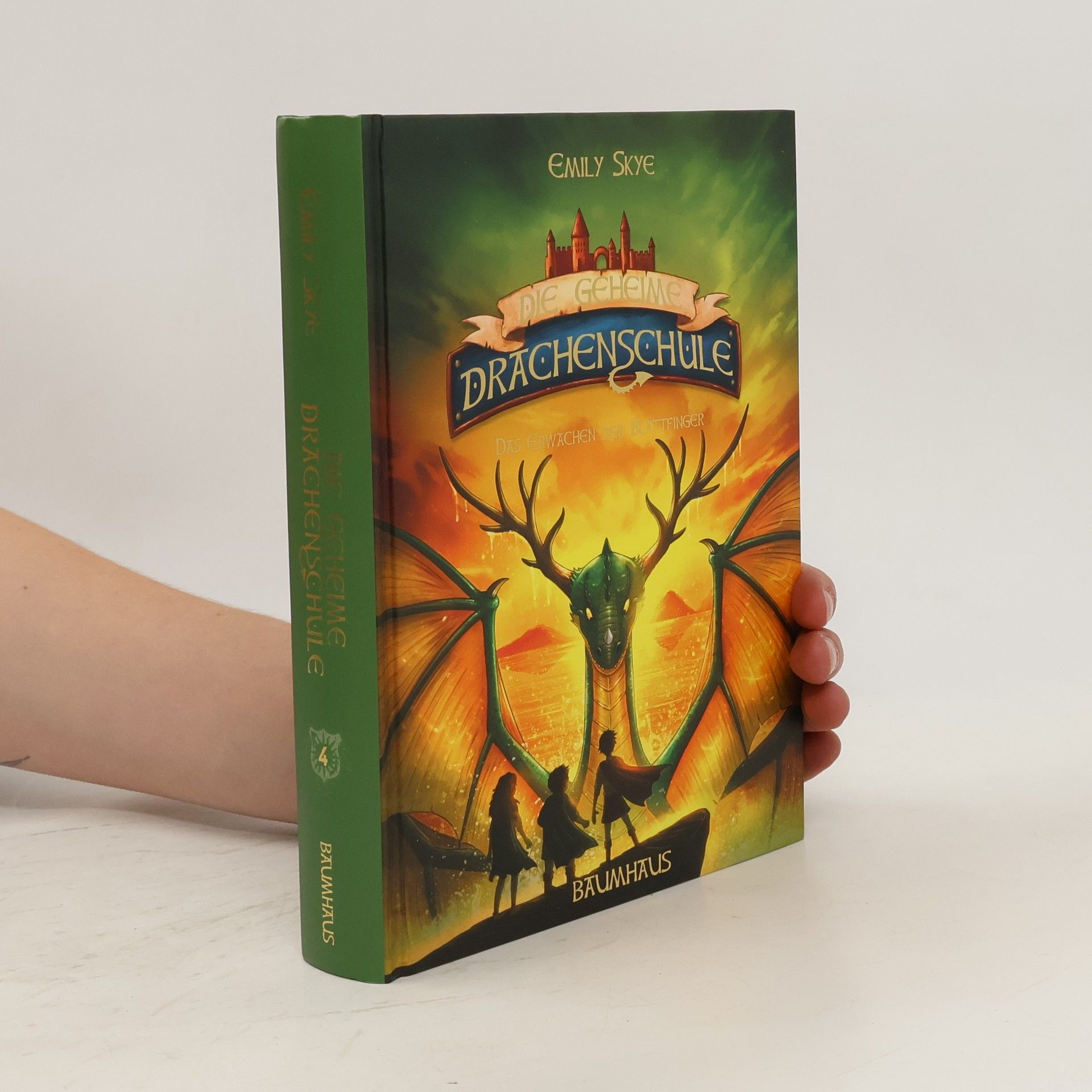 Emily Skye Die geheime Drachenschule. Das Erwachen der Blattfinger