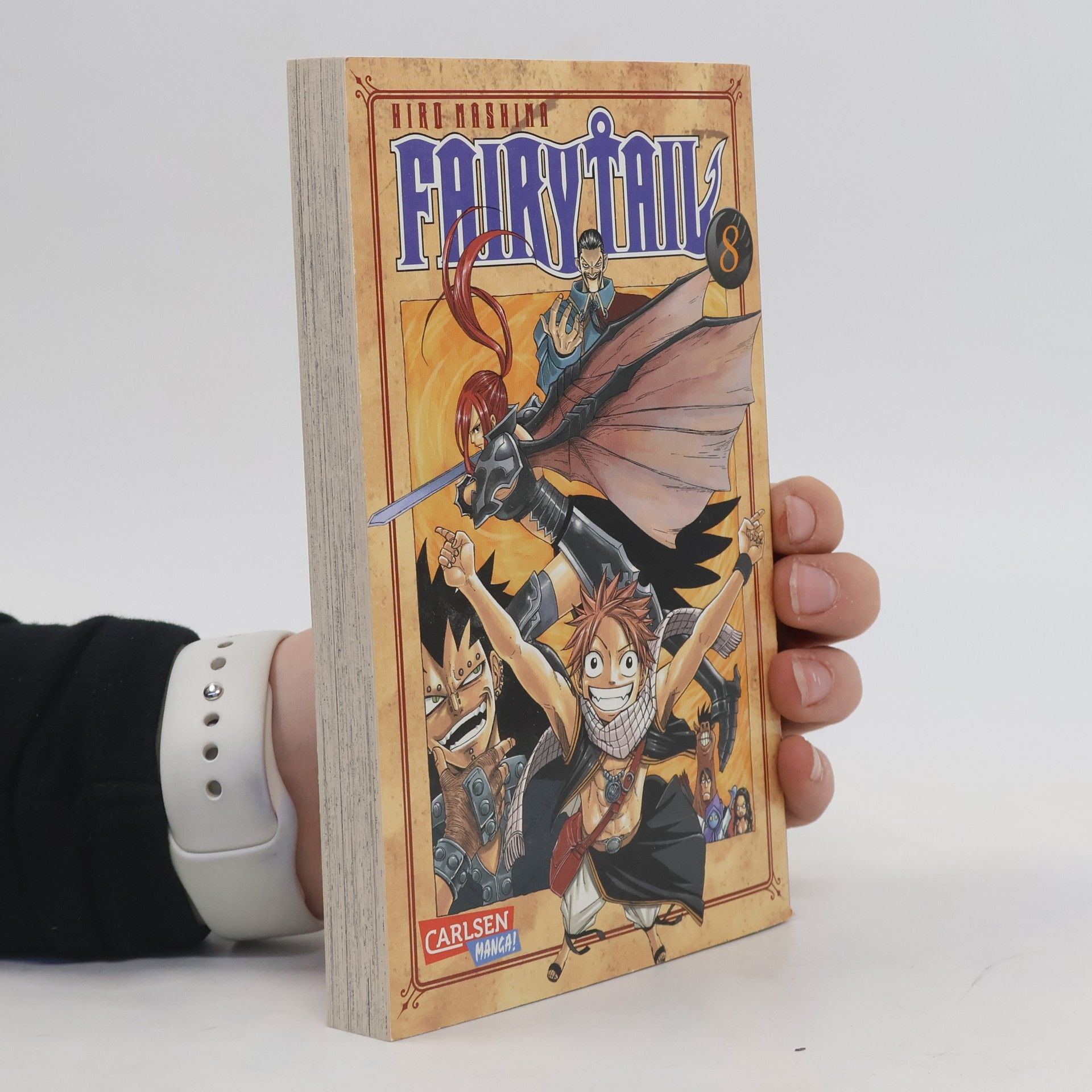 Hiro M. Fairy Tail 8