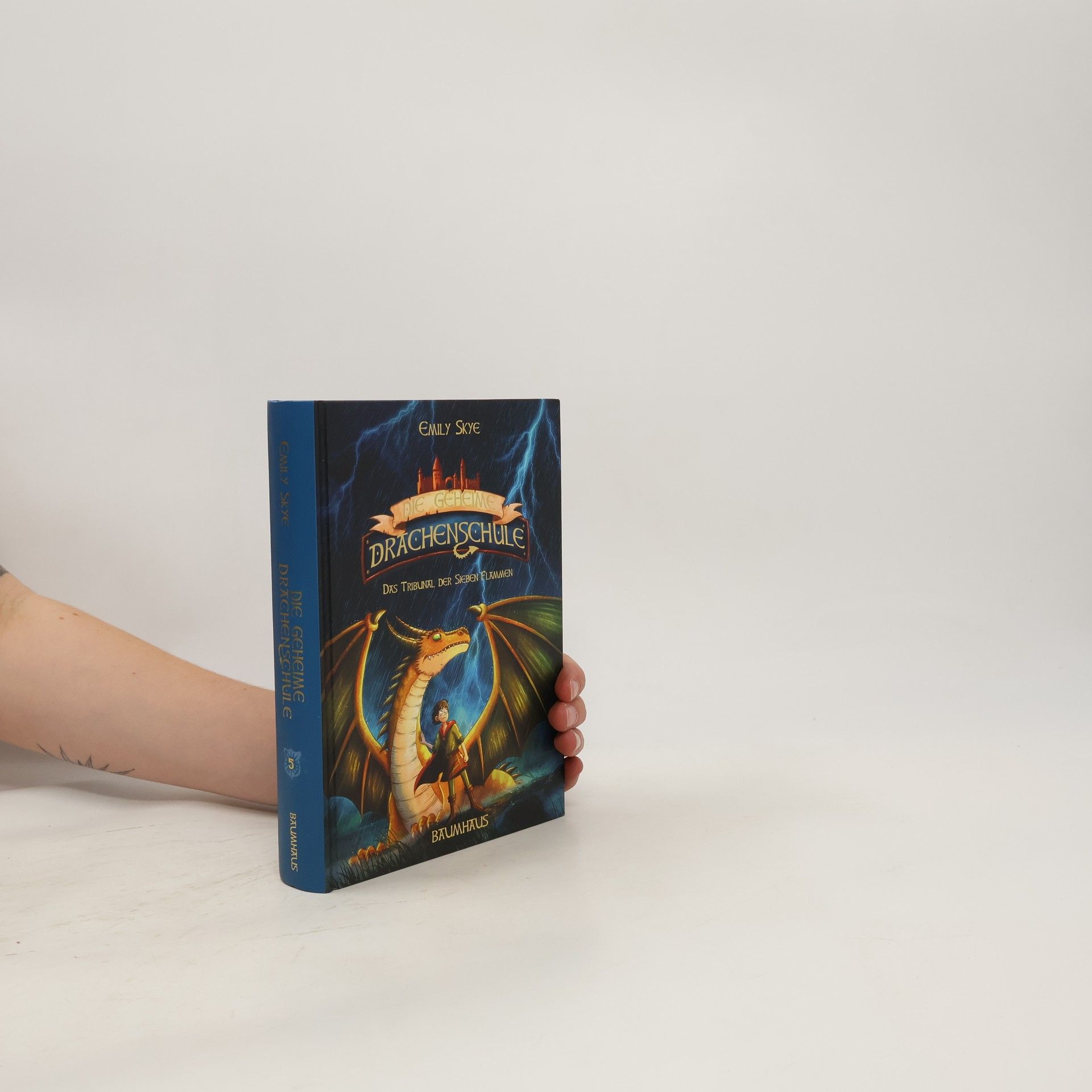 Emily Skye Drachenschule. Das Tribunal der sieben Flammen