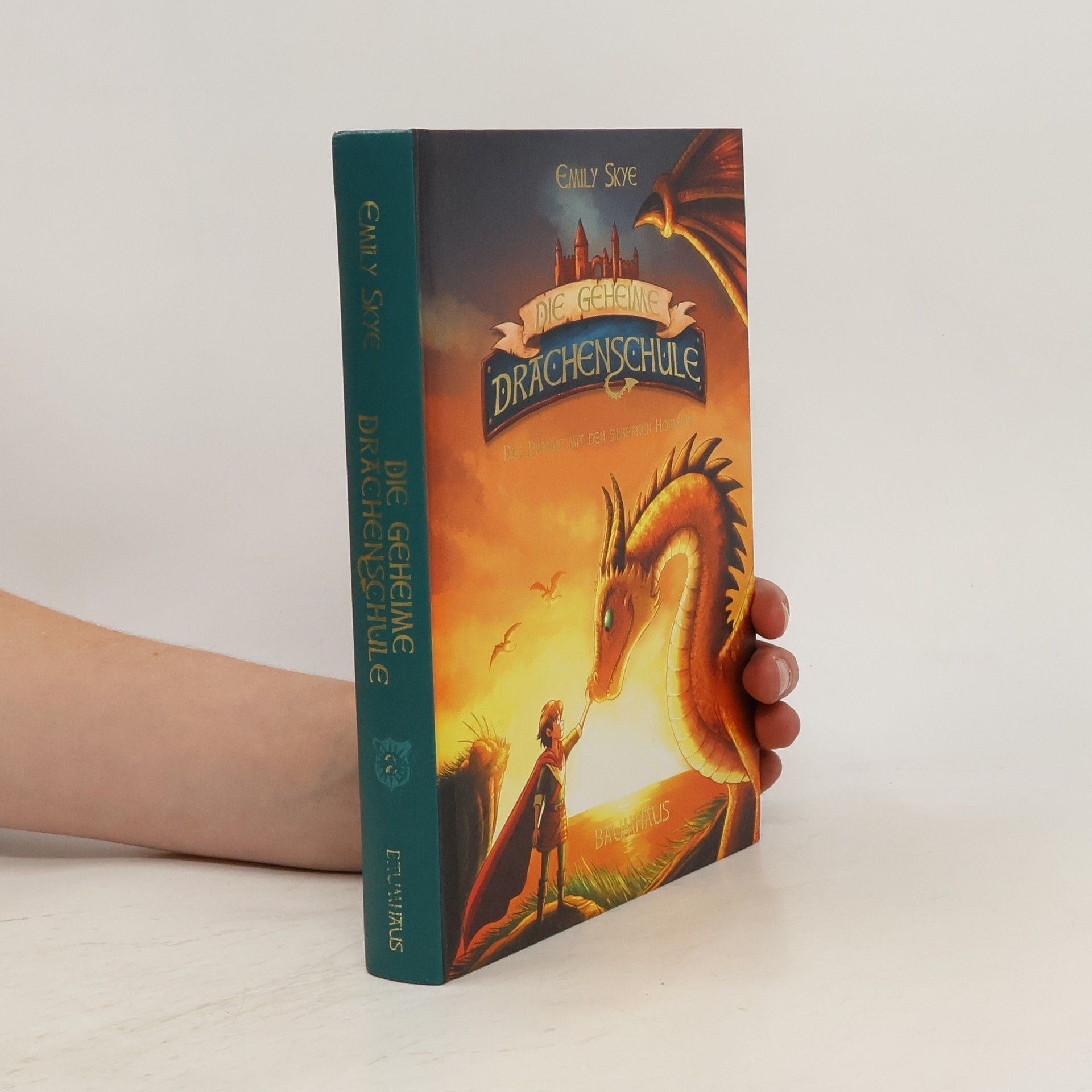 Emily Skye Der Drache mit den silbernen Hörnern