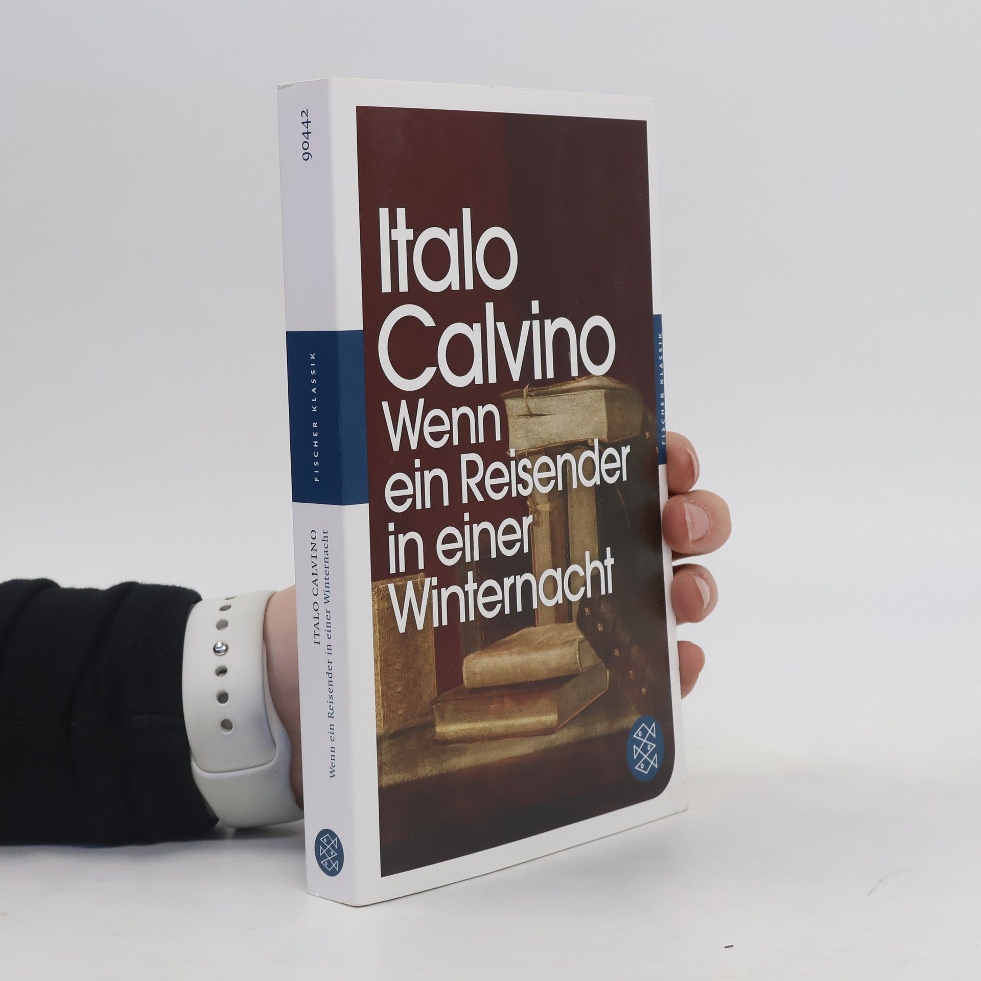 Italo Calvino Wenn ein Reisender in einer Winternacht