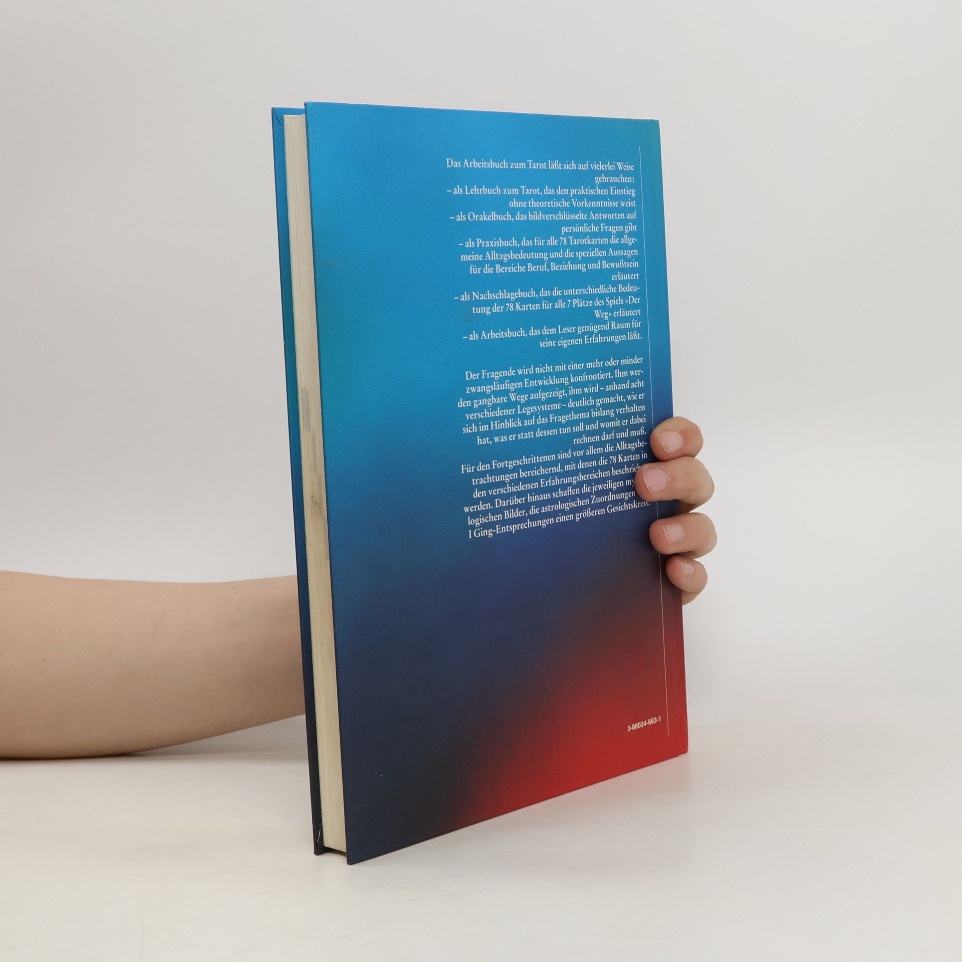 Hajo Banzhaf Das Arbeitsbuch zum Tarot