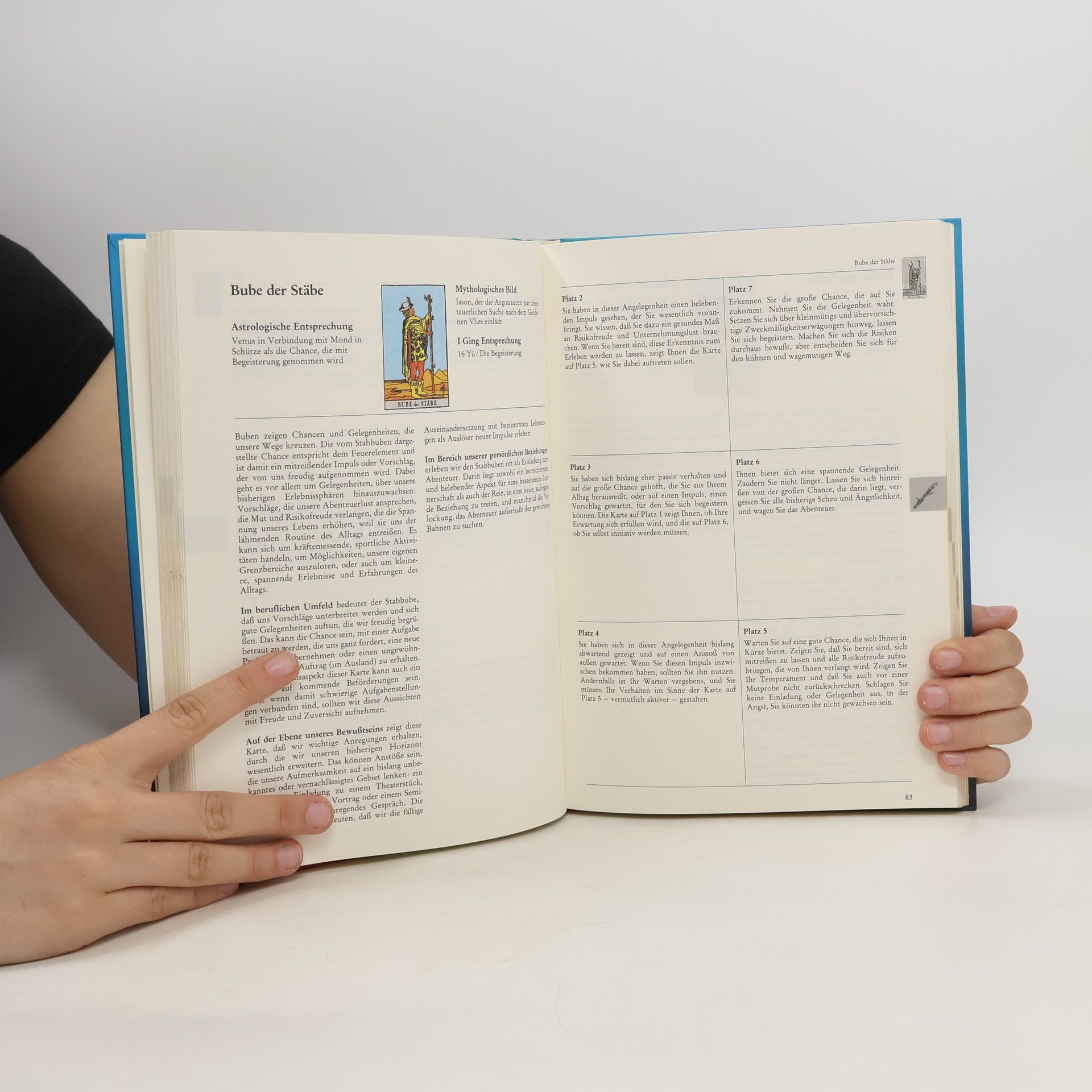 Hajo Banzhaf Das Arbeitsbuch zum Tarot