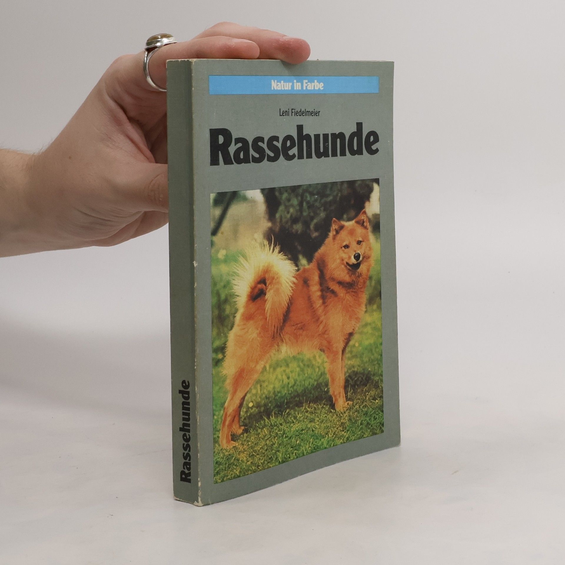 Leni Fiedelmeier Rassehunde