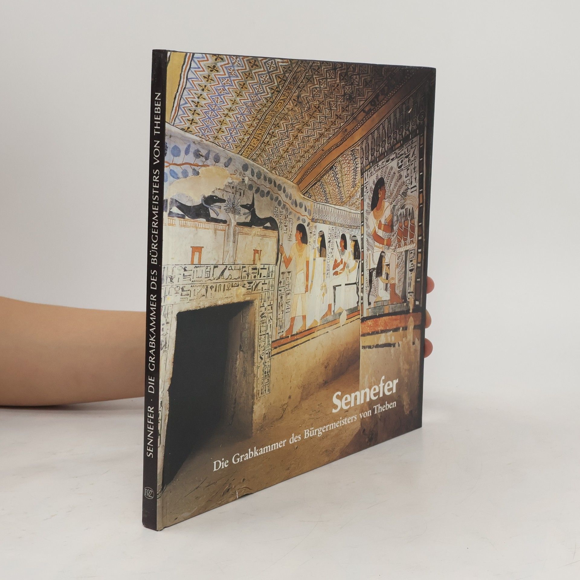 Christiane Desroches-Noblecourt Sen-nefer. Die Grabkammer des Bürgermeisters von Theben. Katalog- Handbuch.