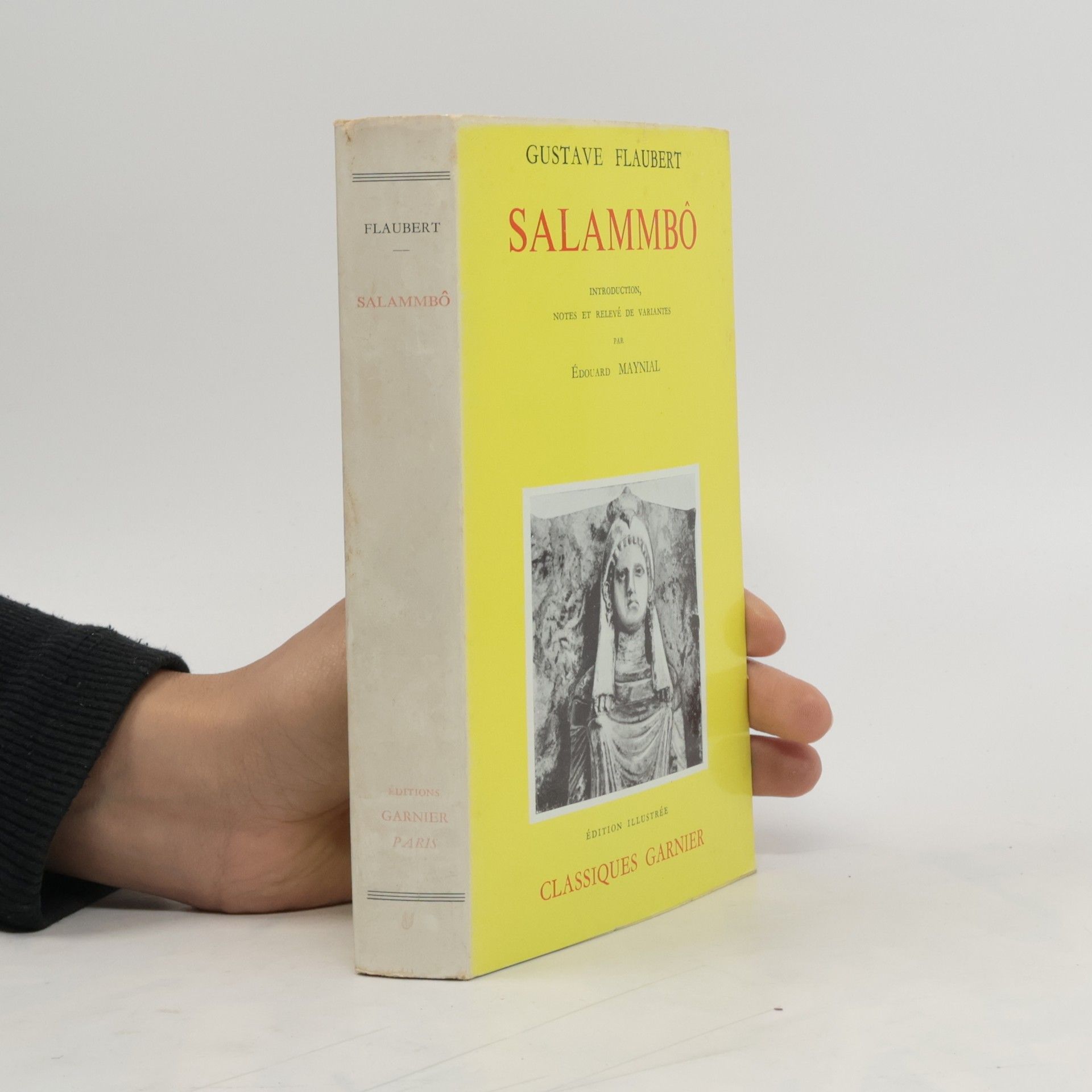 Gustave Flaubert Salmmbo