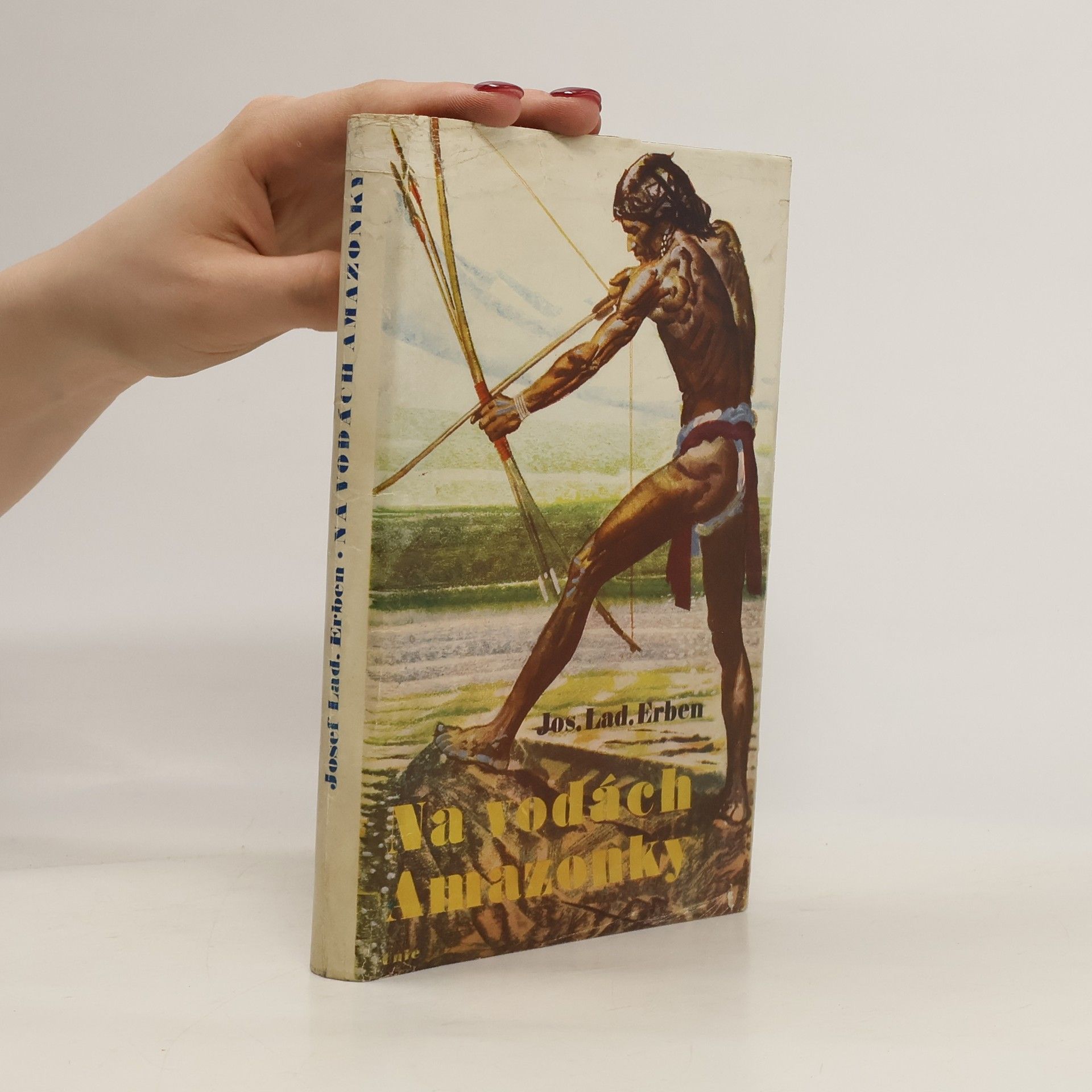 Josef Ladislav Erben Toulky tropickou Amerikou. Díl II, Na vodách Amazonky